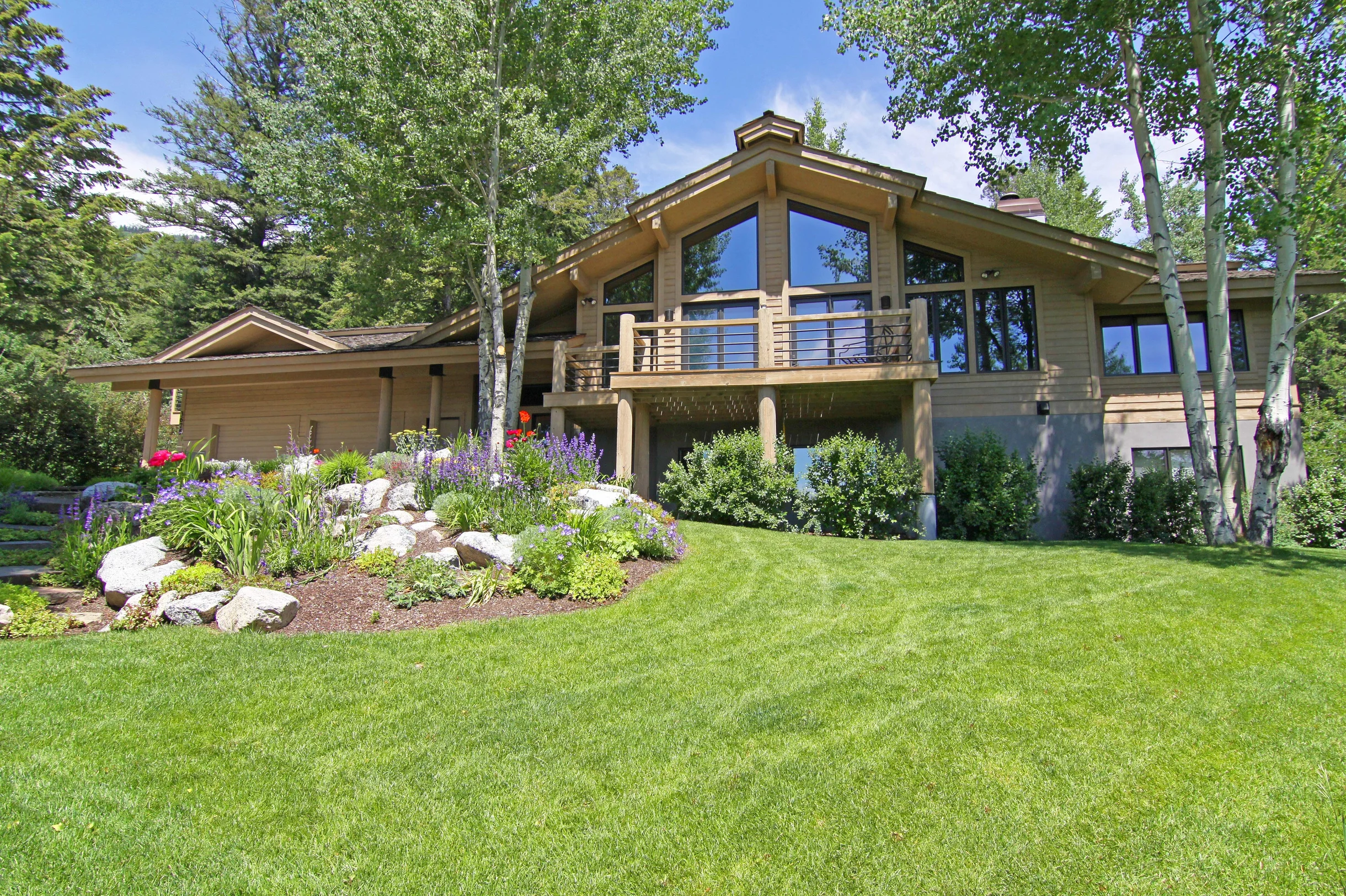 Wander Teton Wildflower