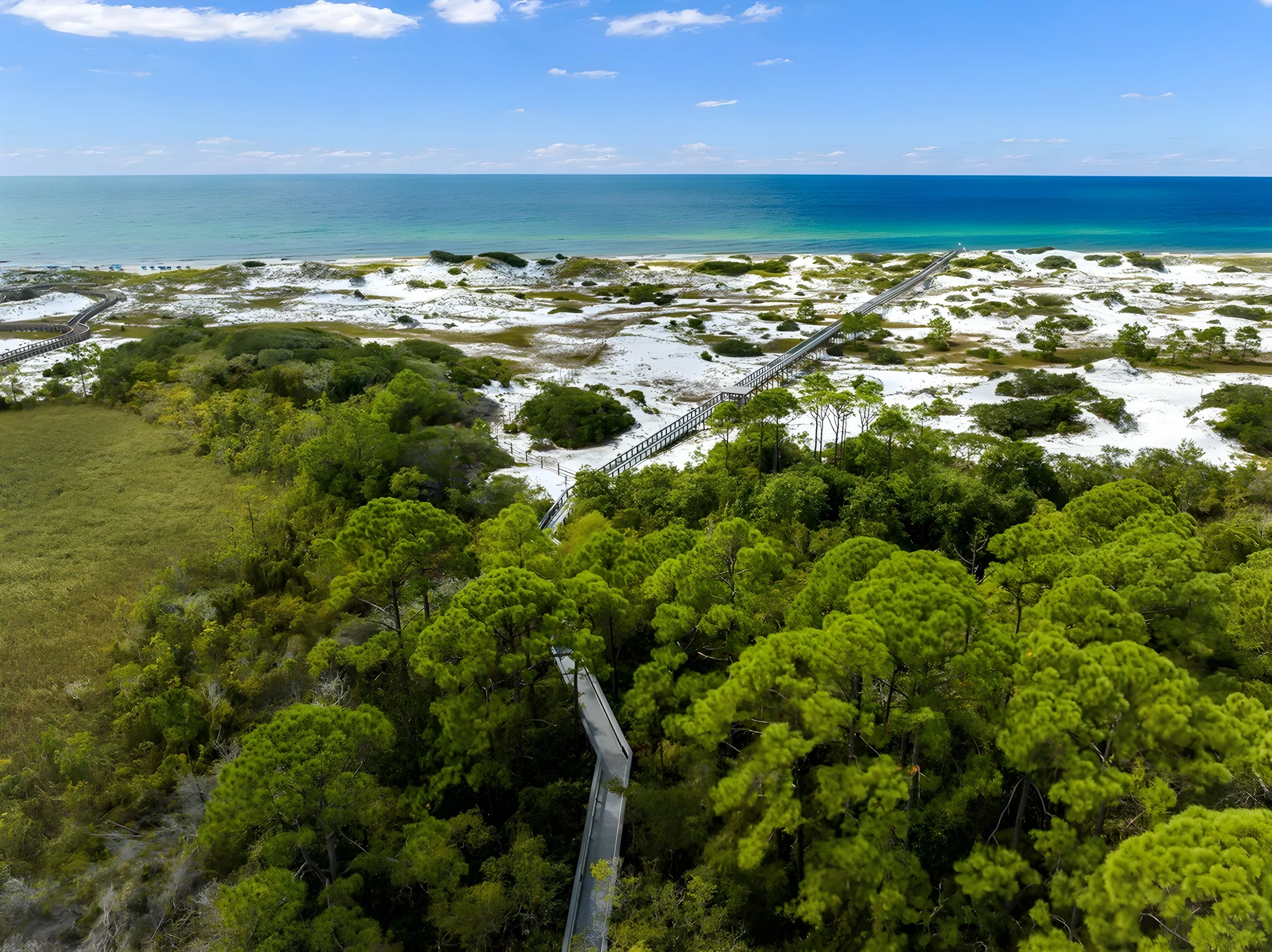 Wander Inlet Escape #93