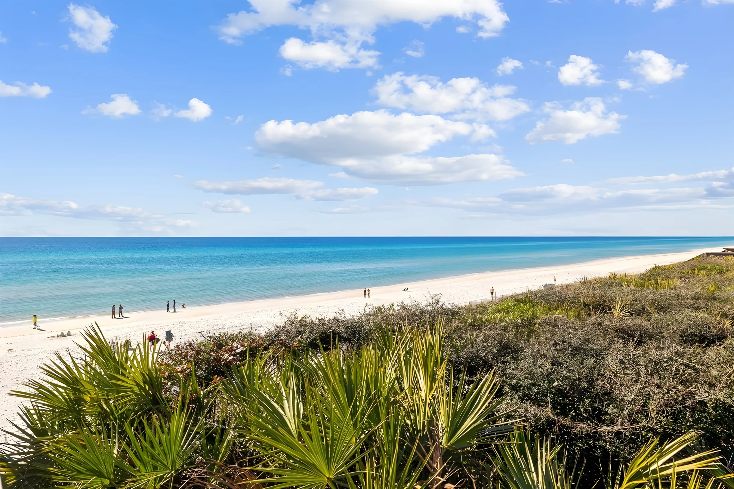 Wander Seacrest Drift #60