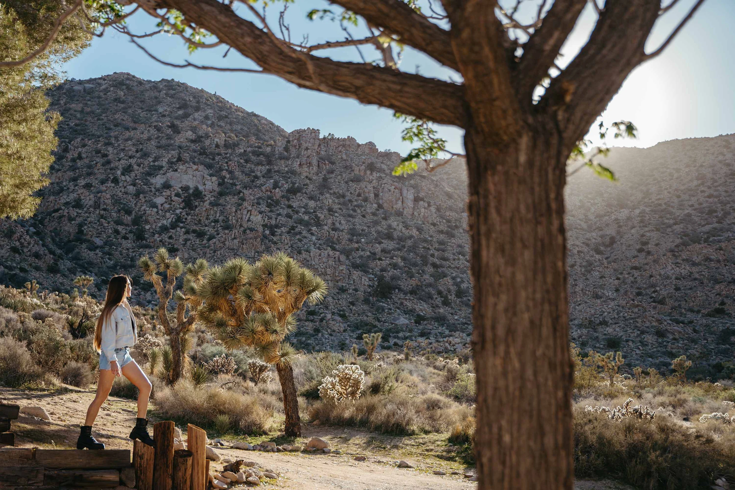 Wander Joshua Sands #14