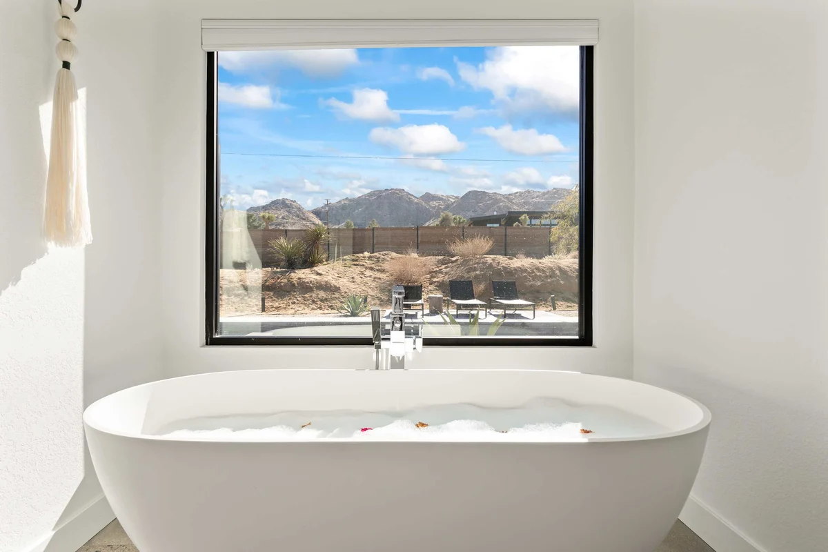 Wander Joshua Tree Twilight