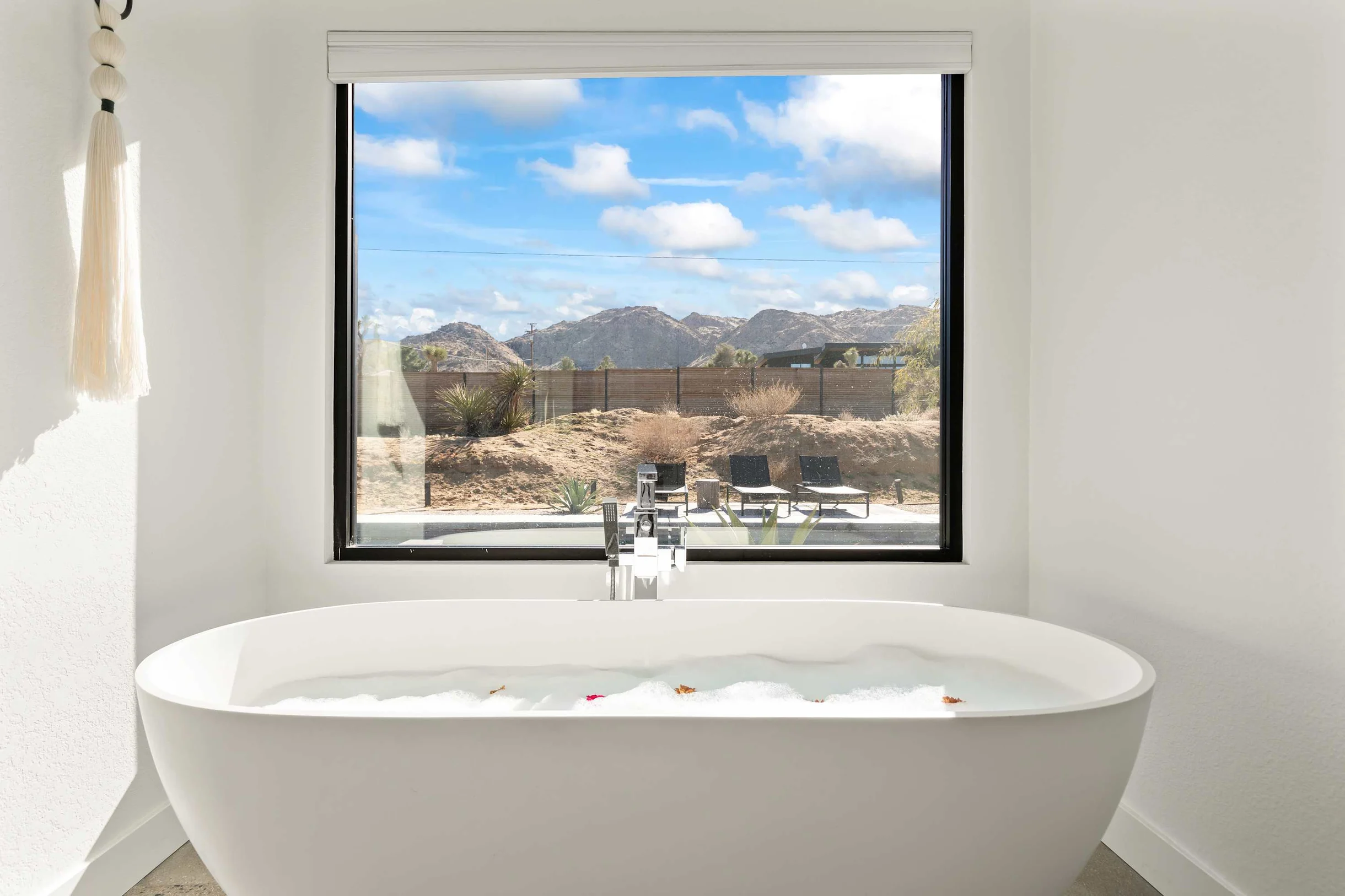 Wander Joshua Tree Twilight #18