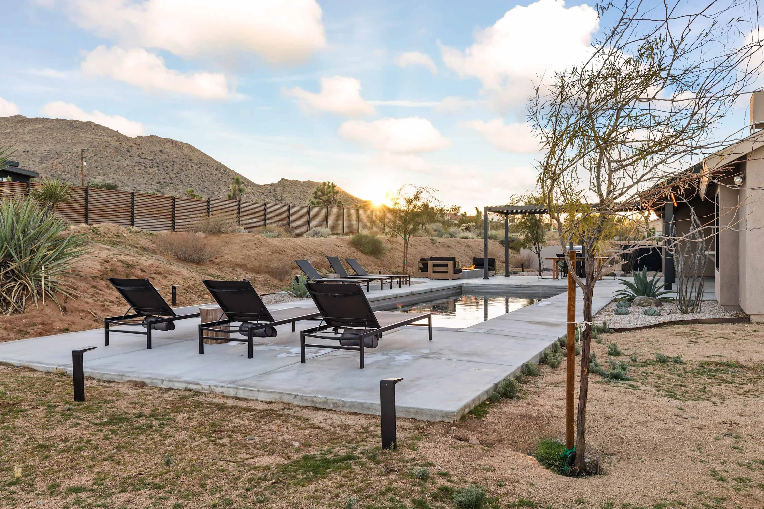 Wander Joshua Tree Twilight #29