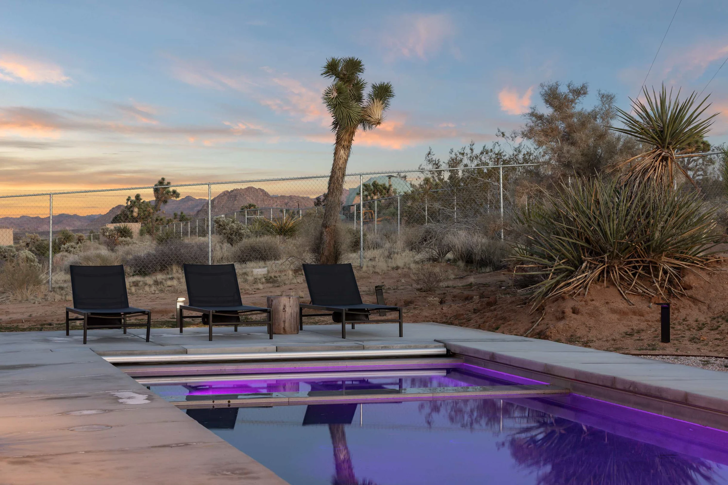 Wander Joshua Tree Twilight #23