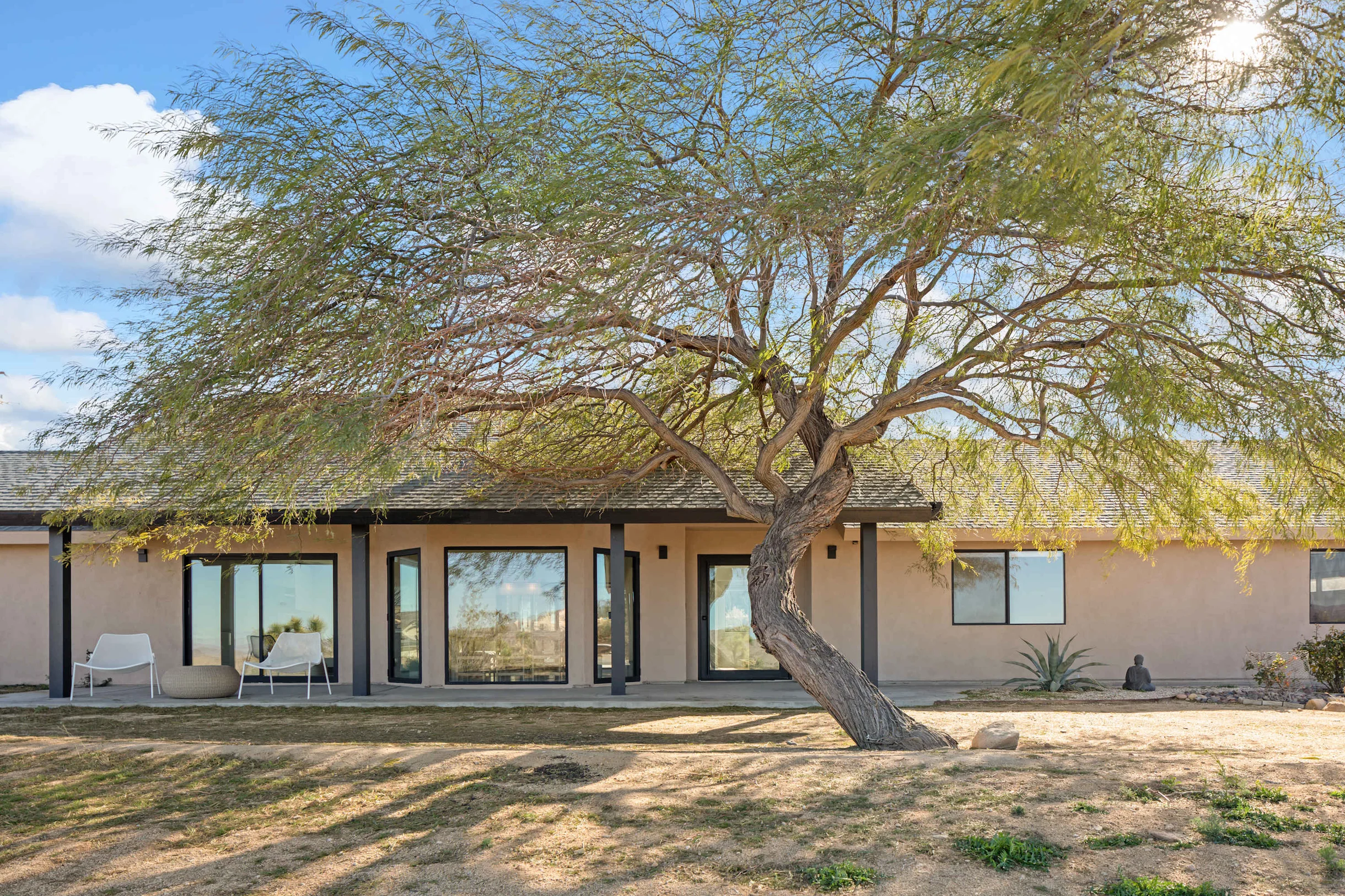 Wander Joshua Tree Twilight #34