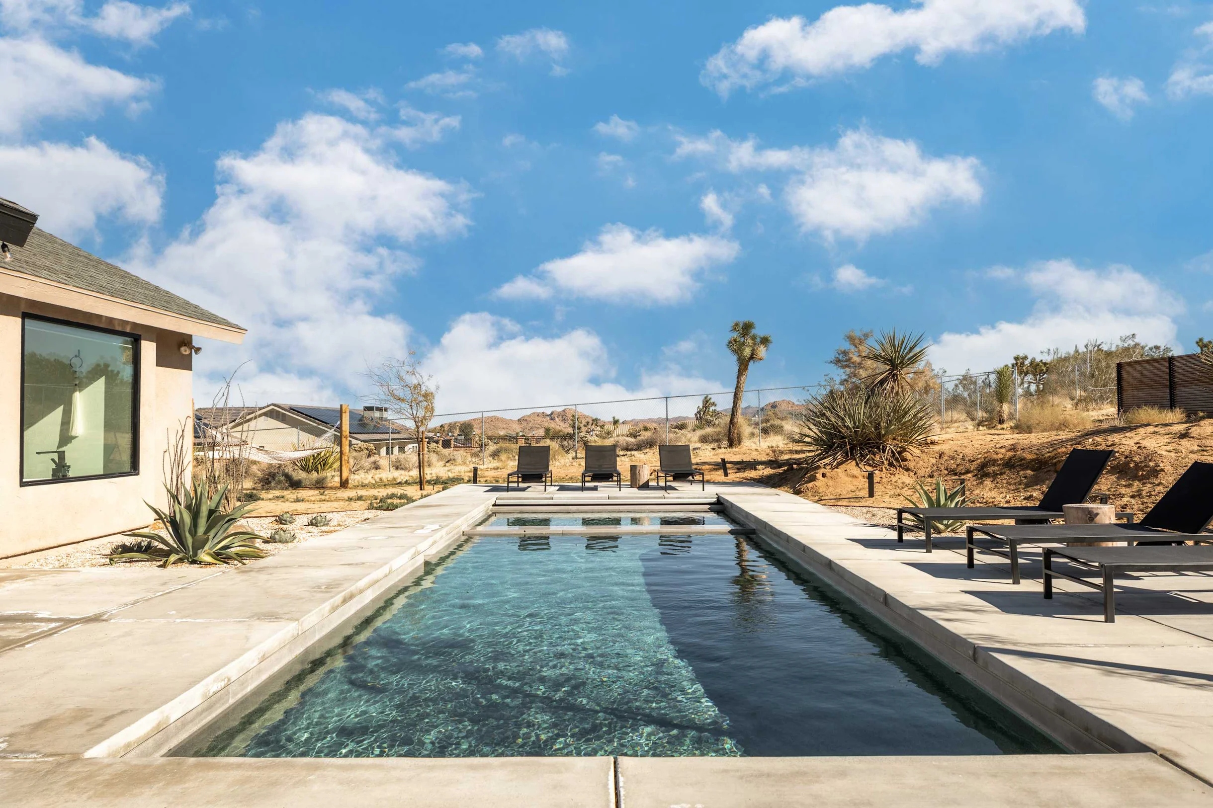 Wander Joshua Tree Twilight #41