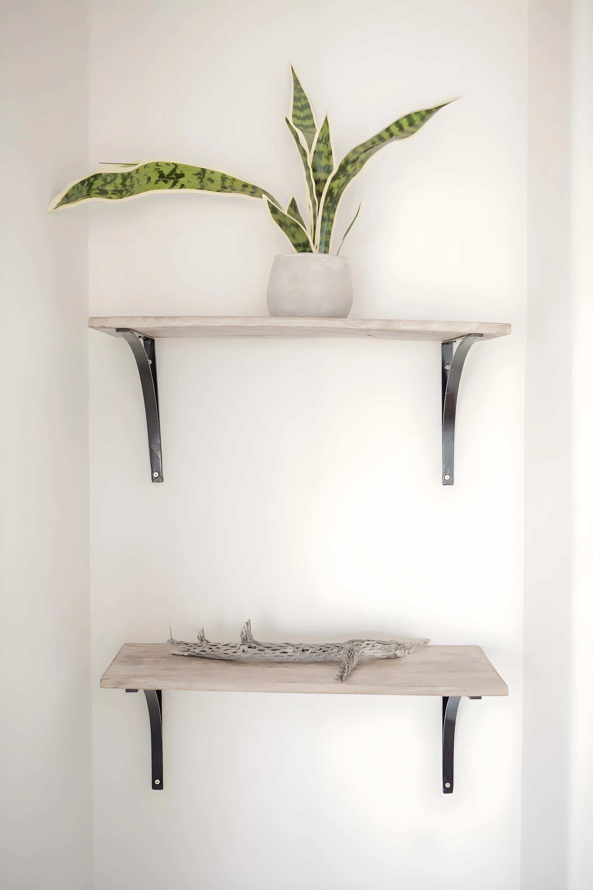 Wander Yucca Valley Horizon #20