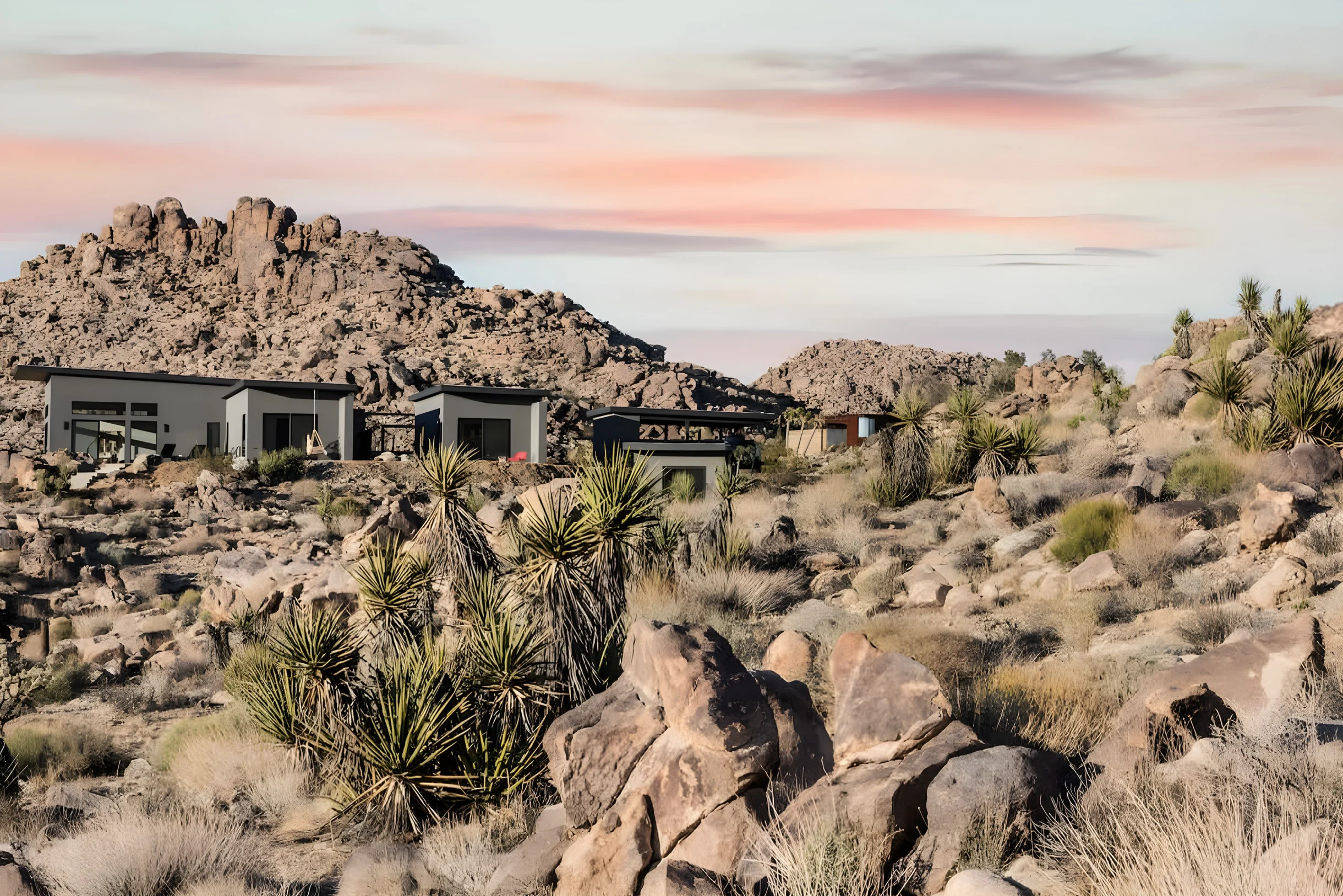 Wander Joshua Tree Sunrise #45