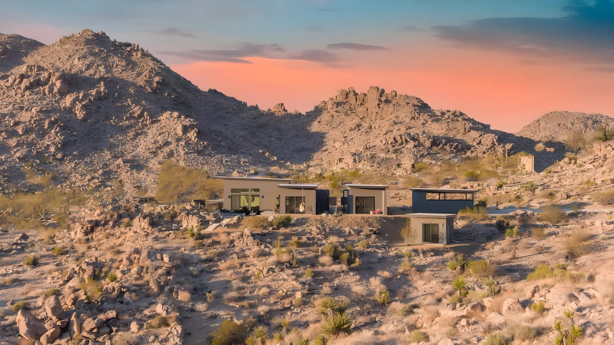 Wander Joshua Tree Sunrise