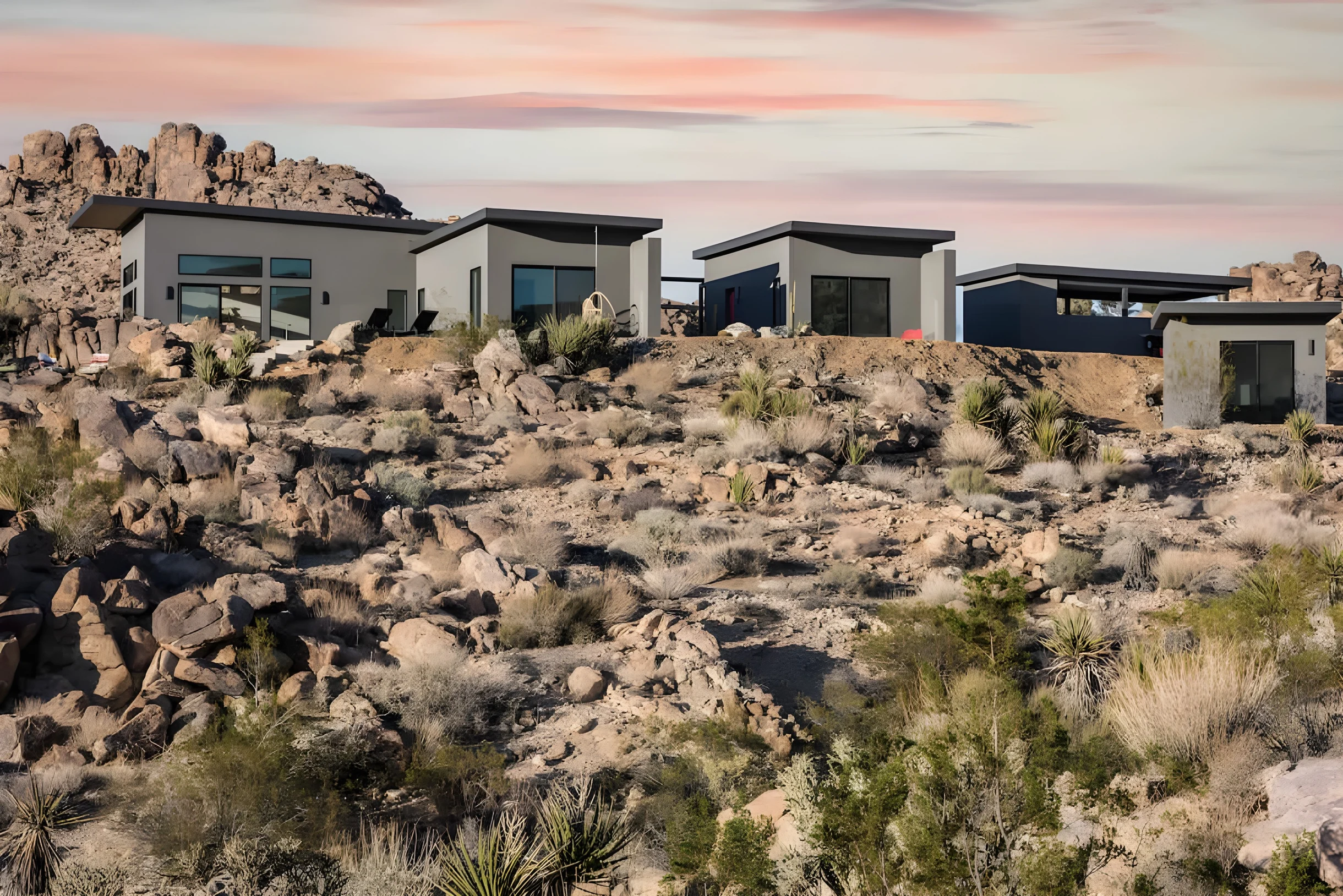 Wander Joshua Tree Sunrise #37