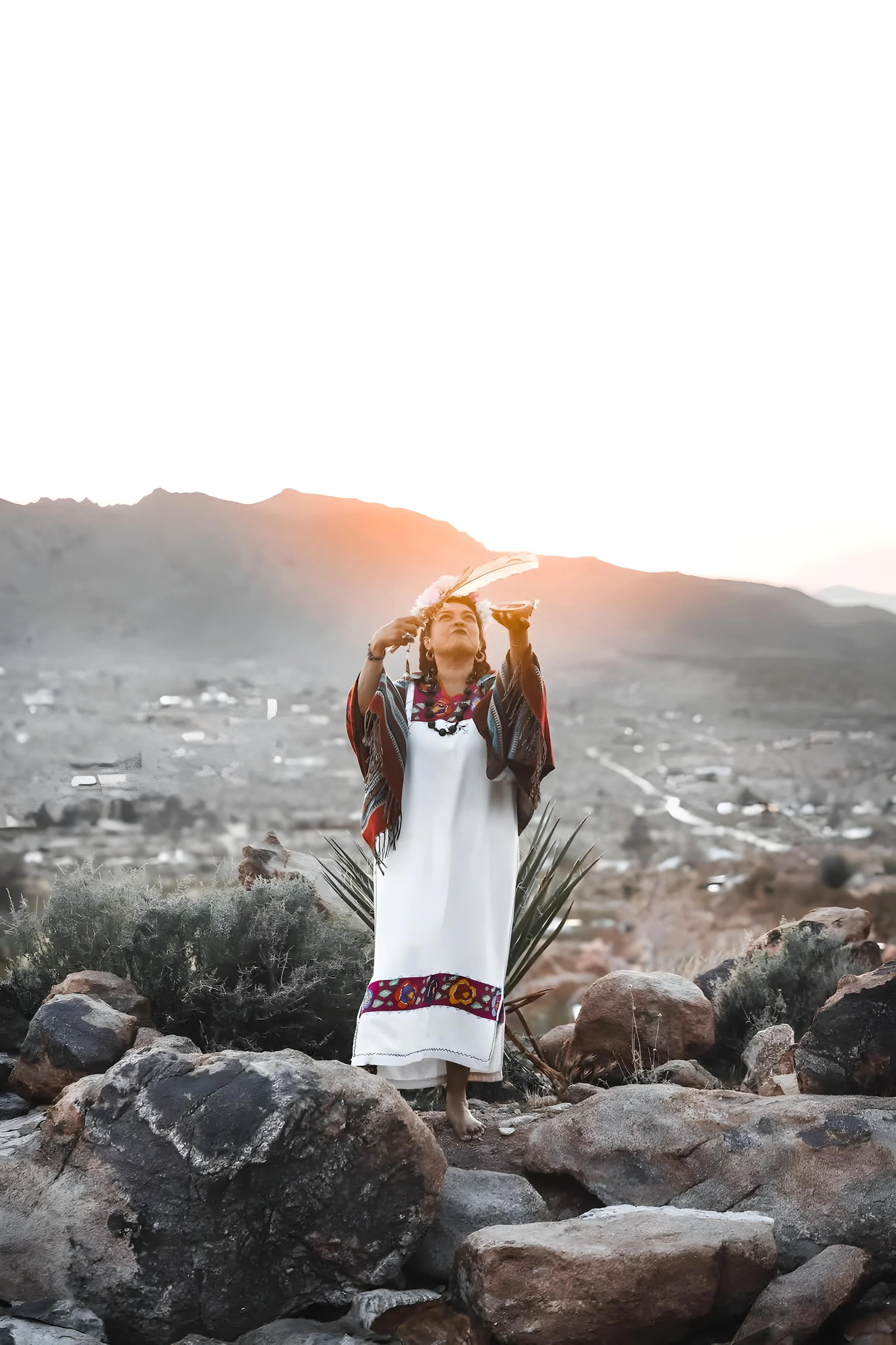 Wander Joshua Tree Sunrise #39