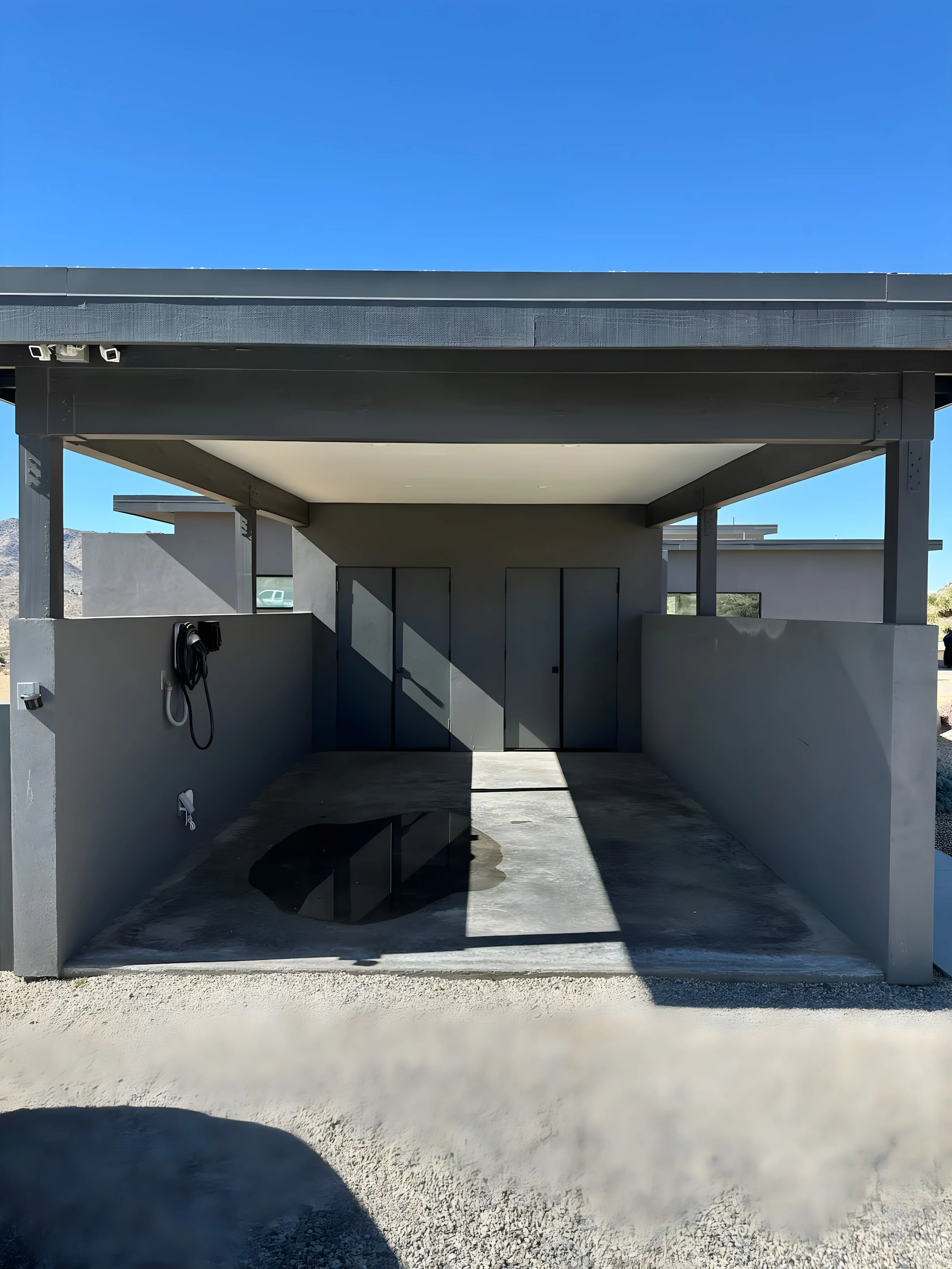 Wander Joshua Tree Sunrise #9