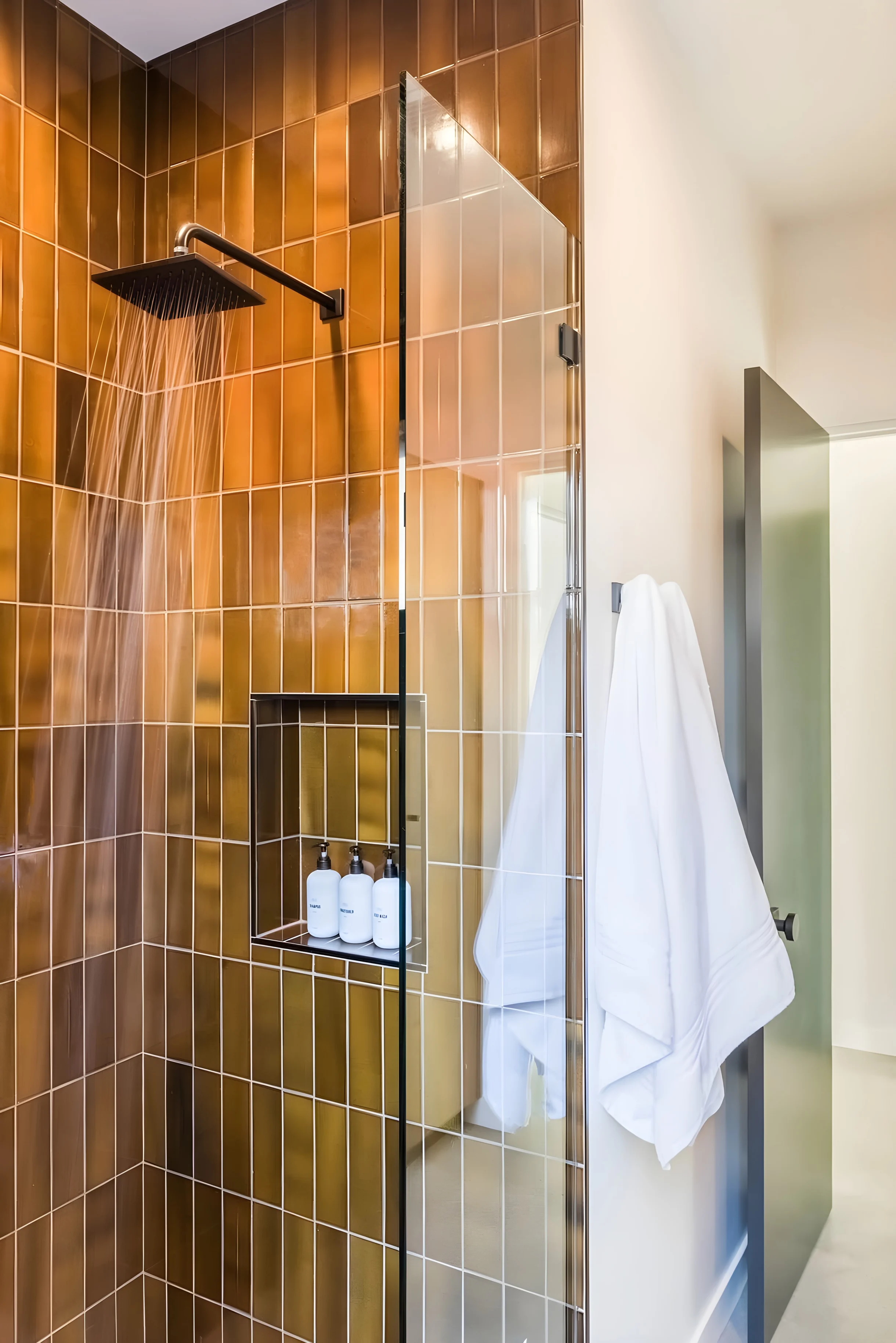 Wander Joshua Tree Sunrise #27