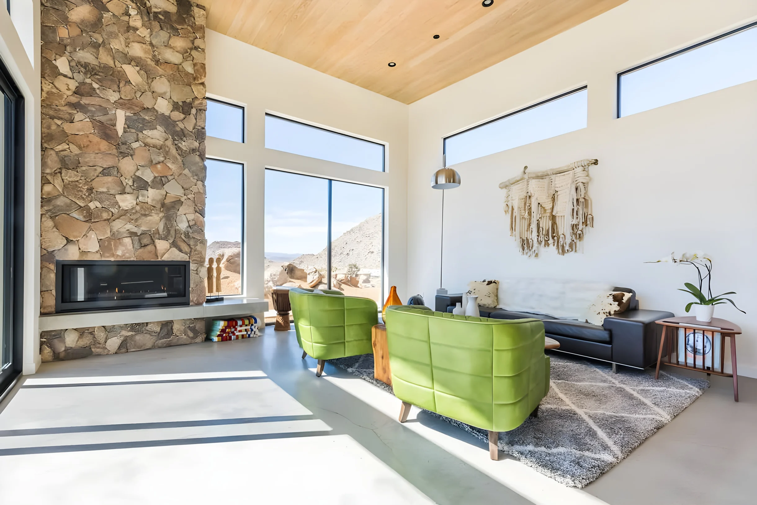 Wander Joshua Tree Sunrise #41