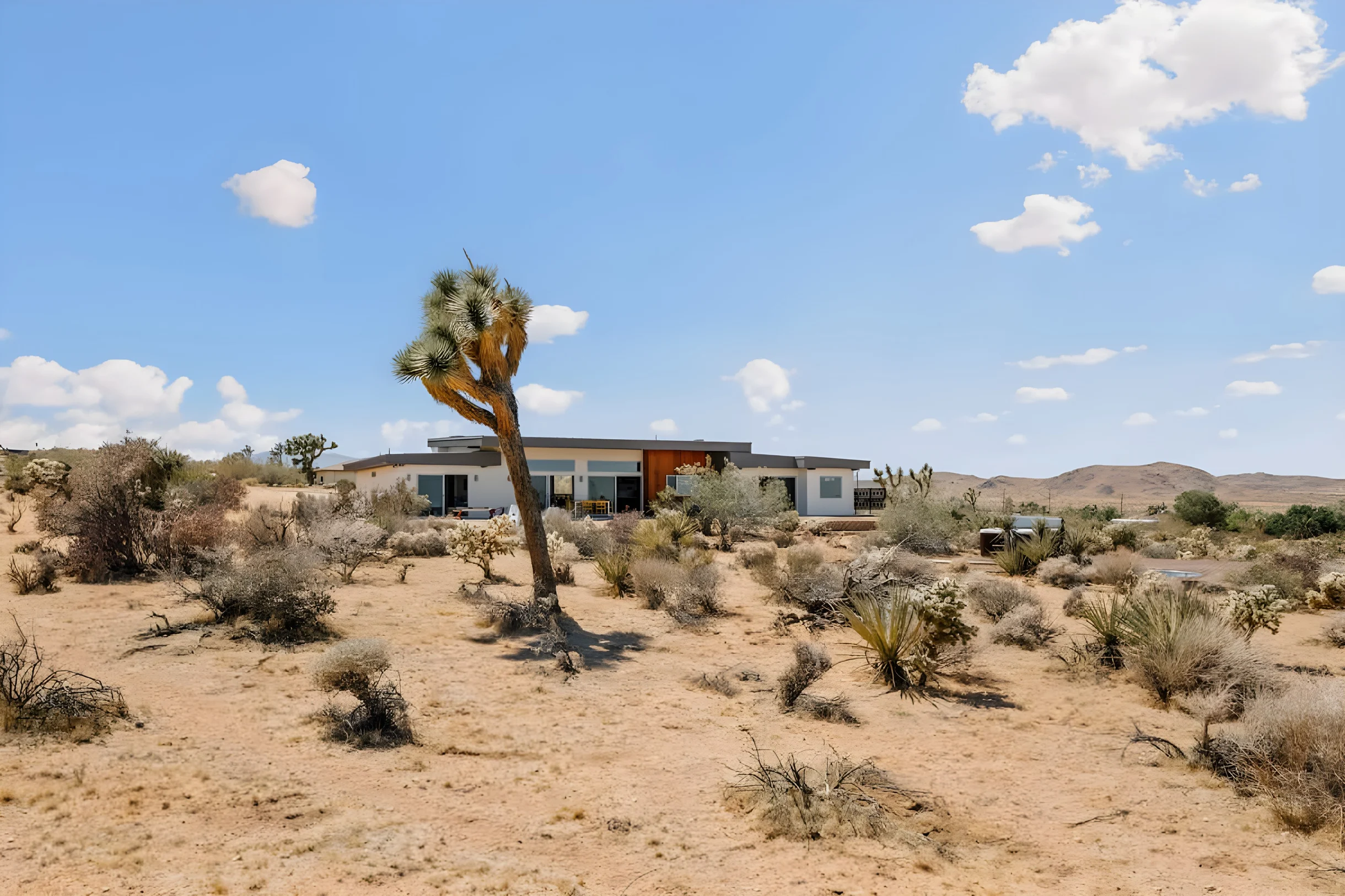 Wander Joshua Mesa #48