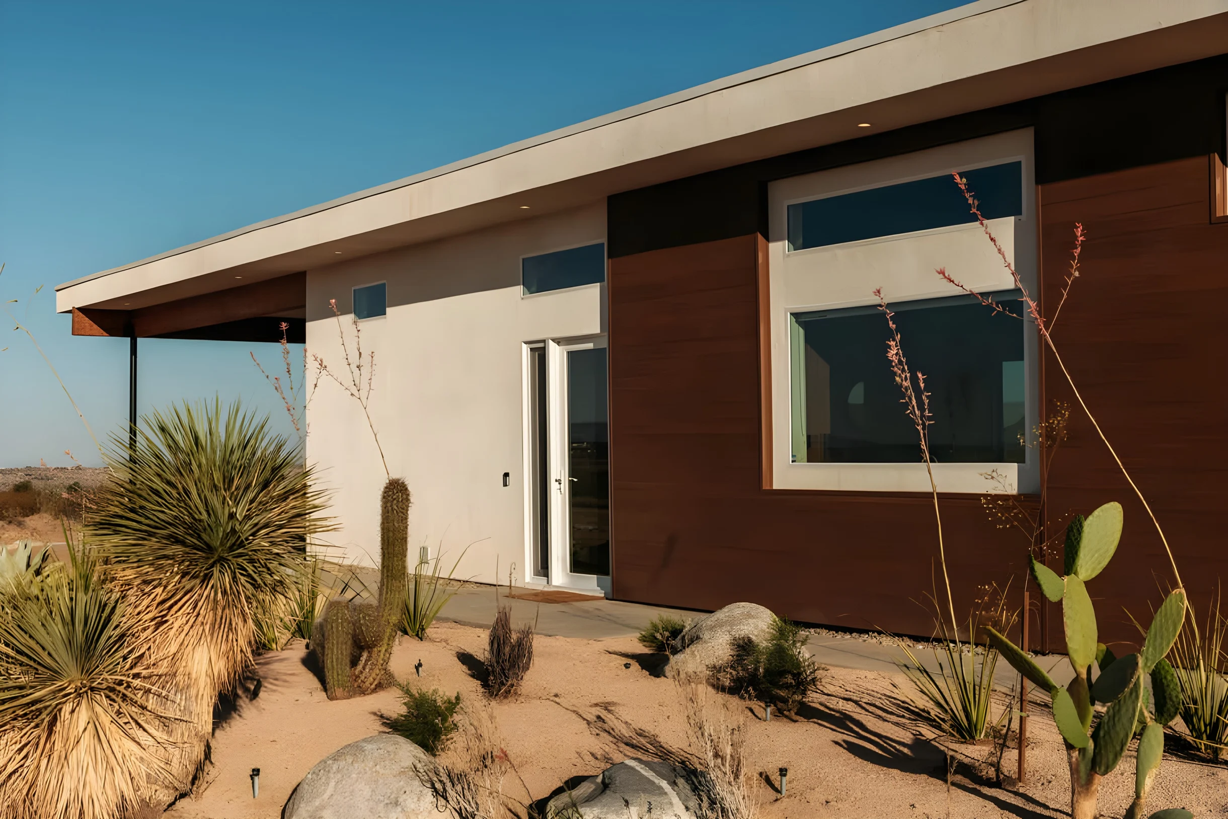 Wander Joshua Tree Radiance #5