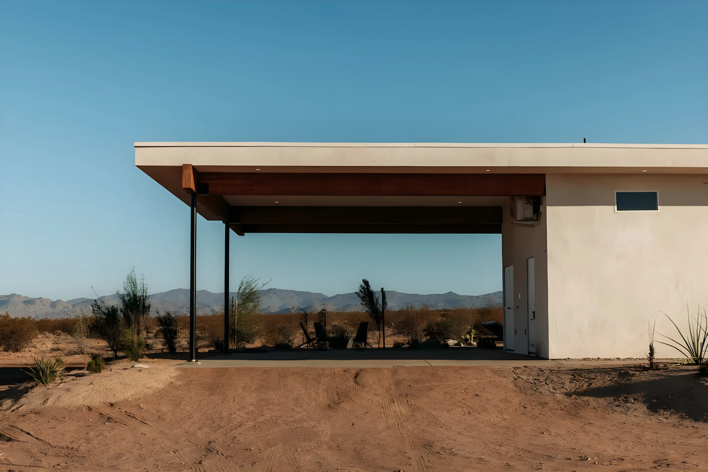 Wander Joshua Tree Radiance #34