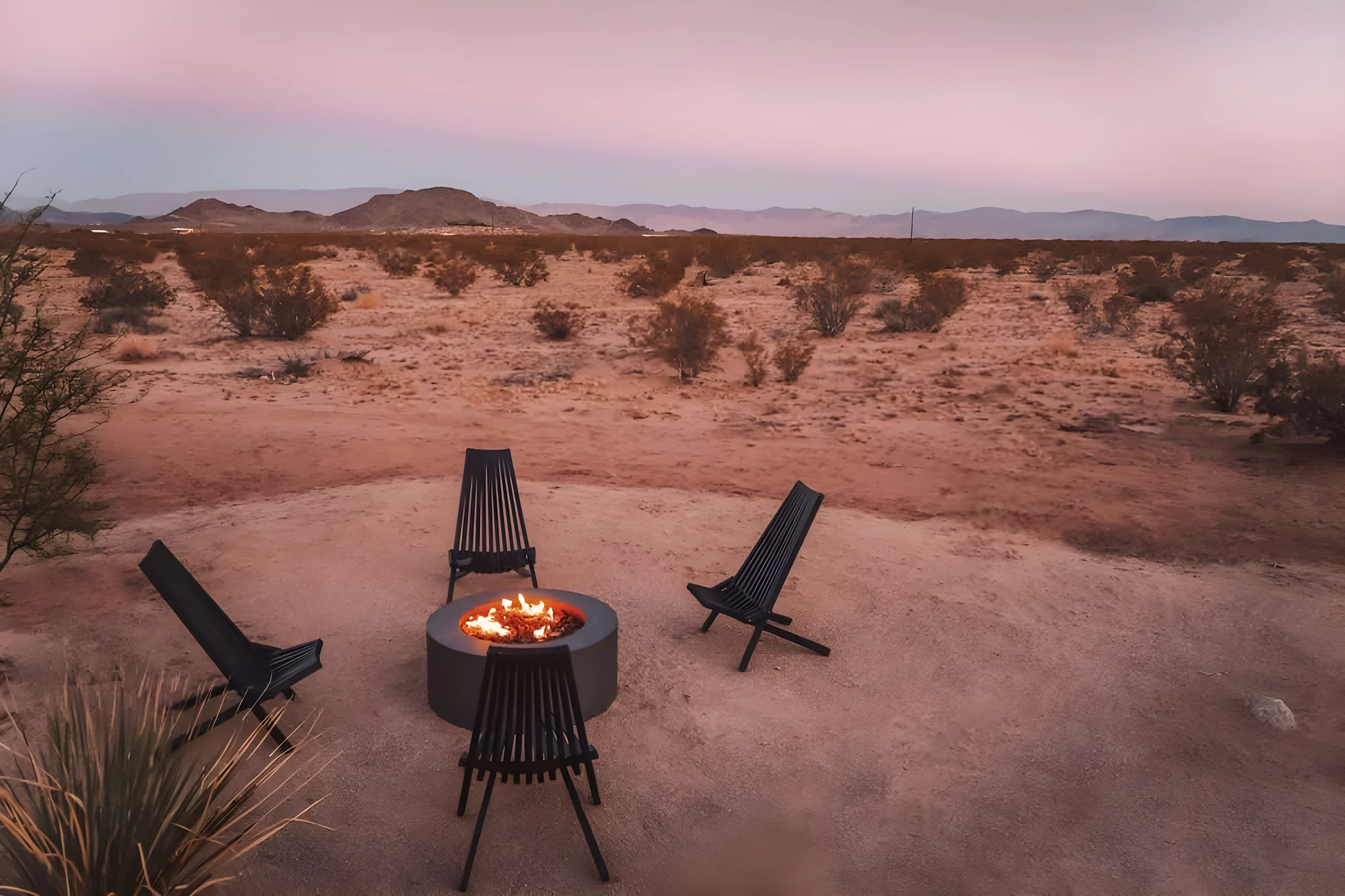 Wander Joshua Tree Radiance #24