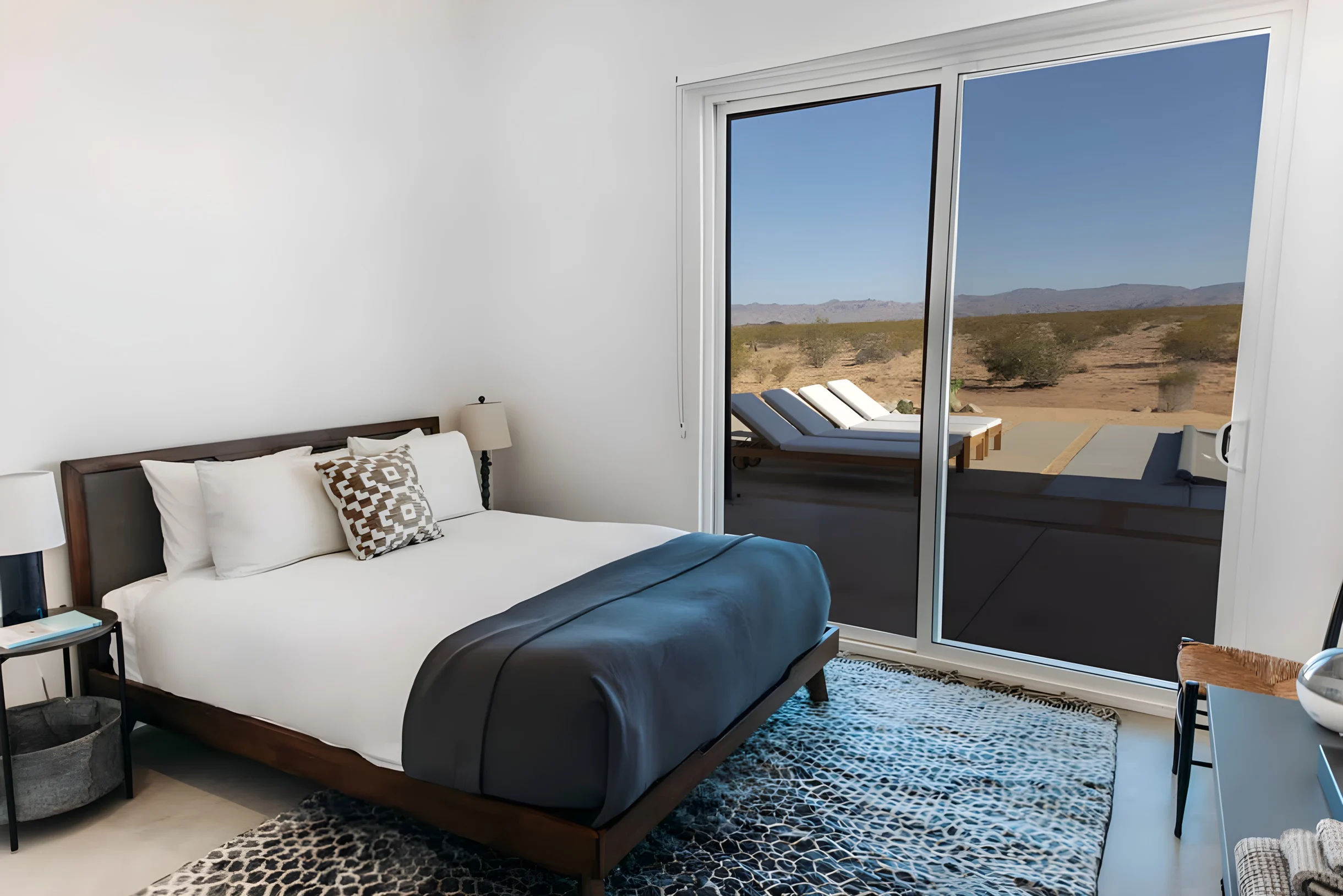 Wander Joshua Tree Radiance #11