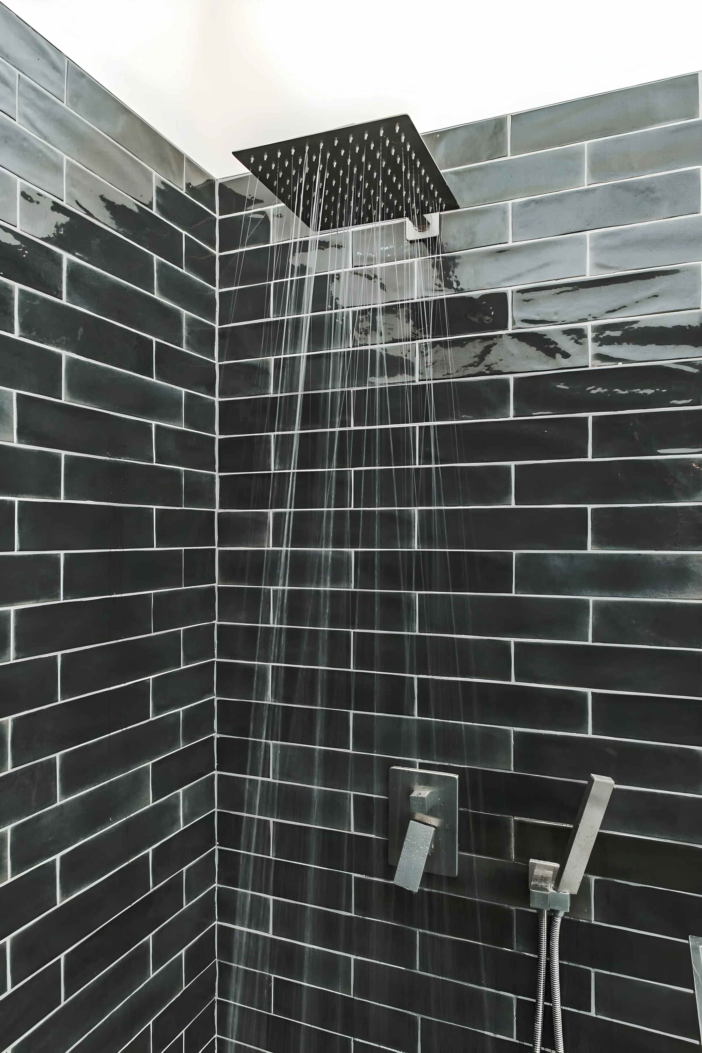 Wander Joshua Tree Radiance #31