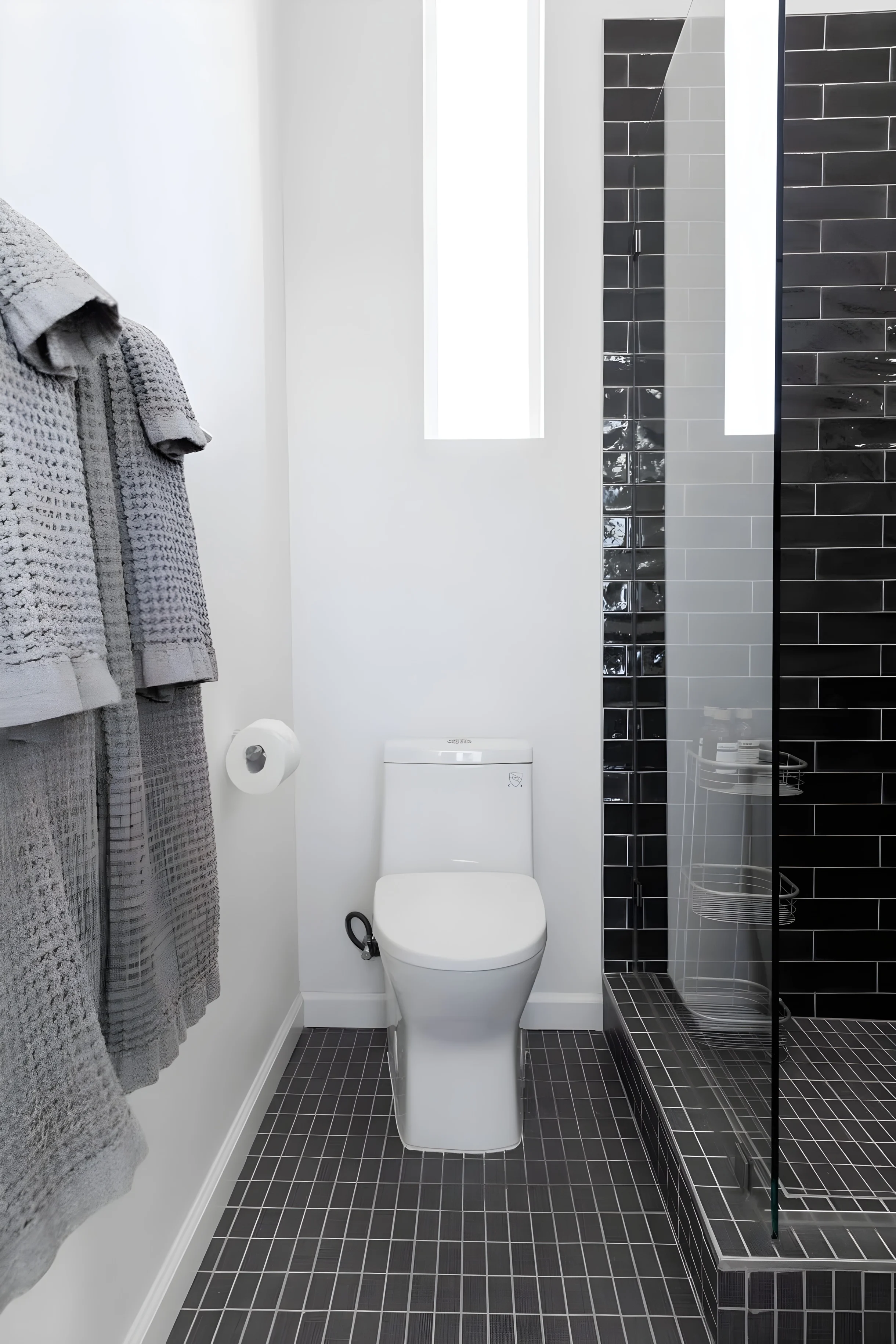 Wander Joshua Tree Radiance #28