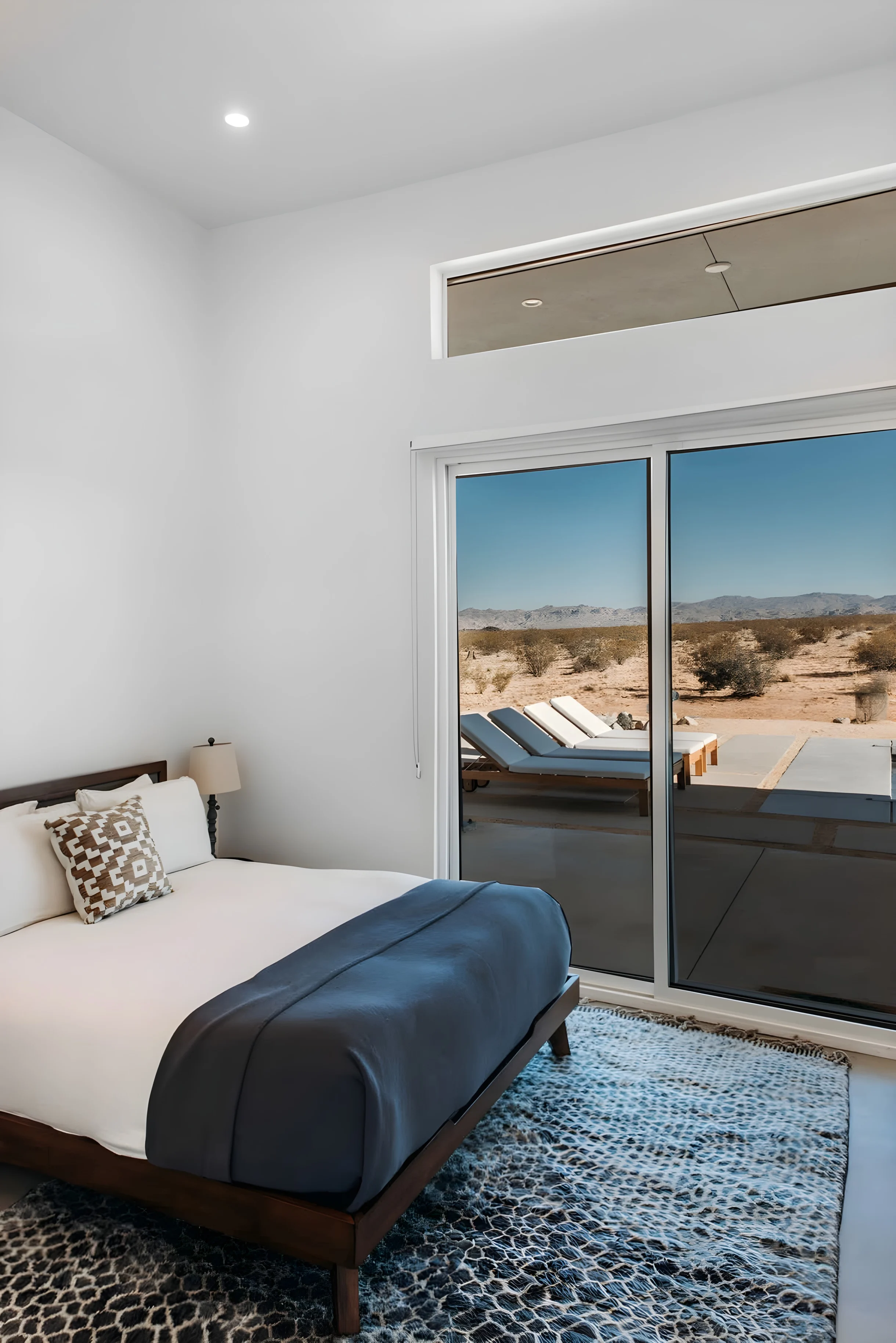 Wander Joshua Tree Radiance #29