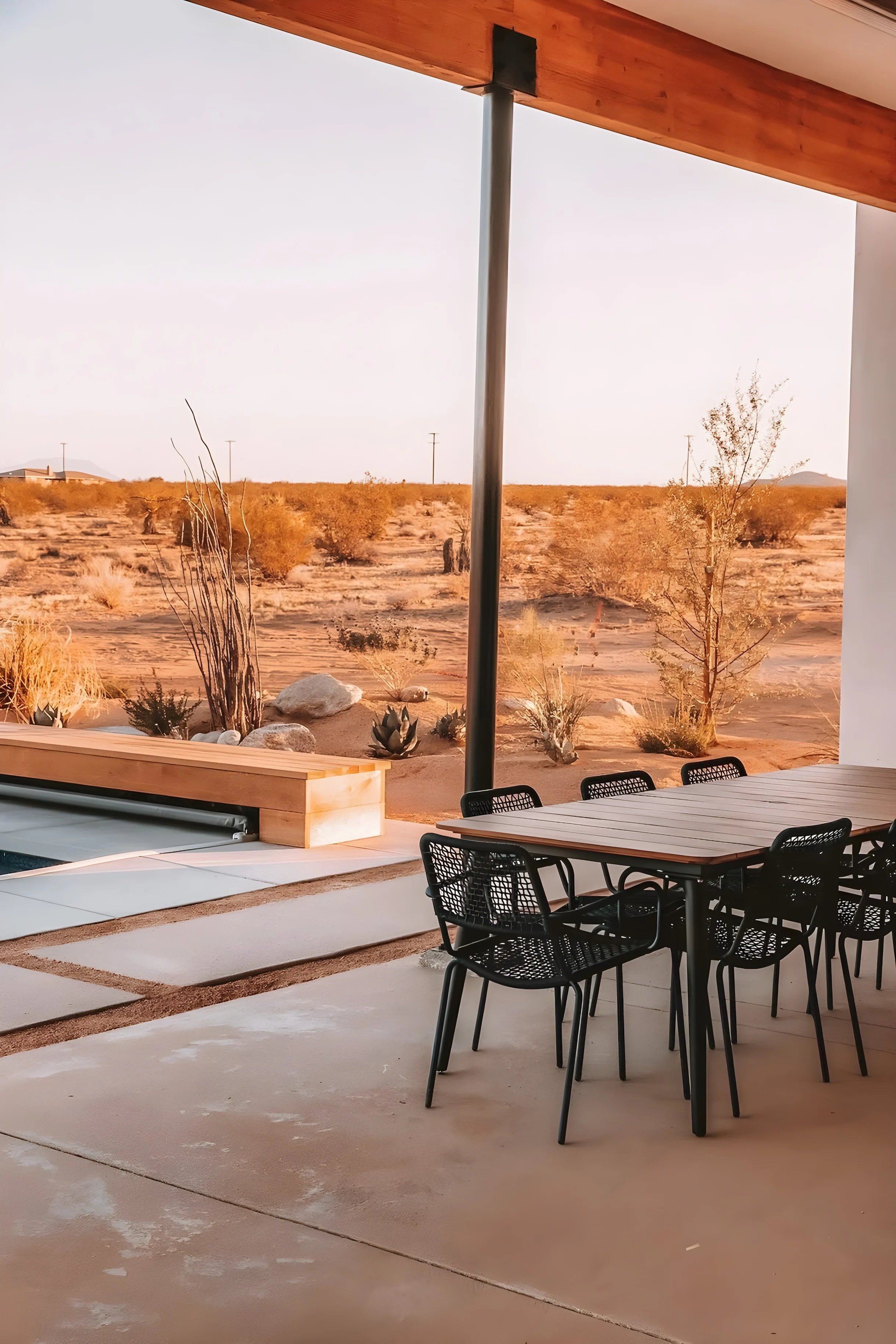 Wander Joshua Tree Radiance #43