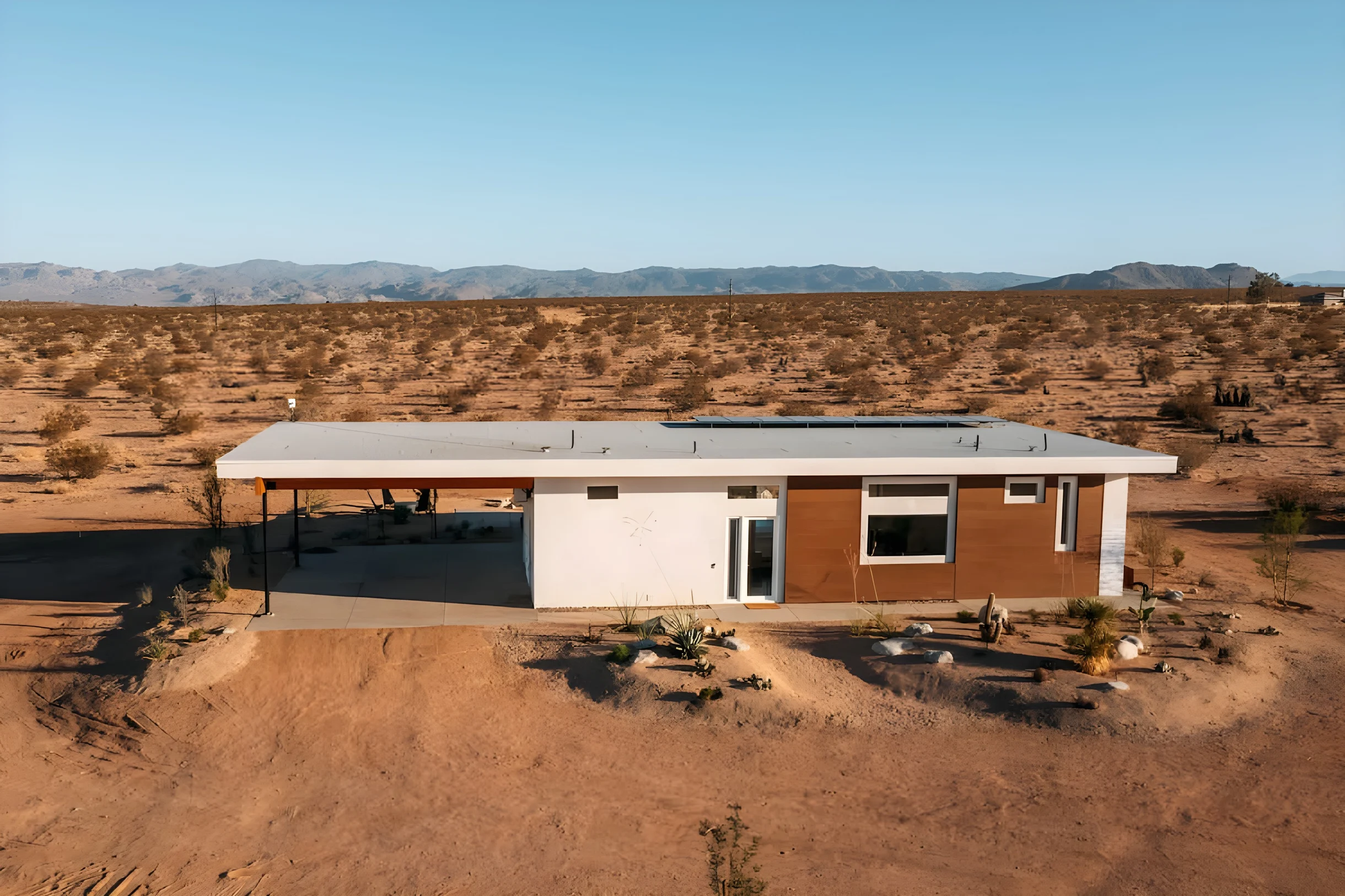 Wander Joshua Tree Radiance #46