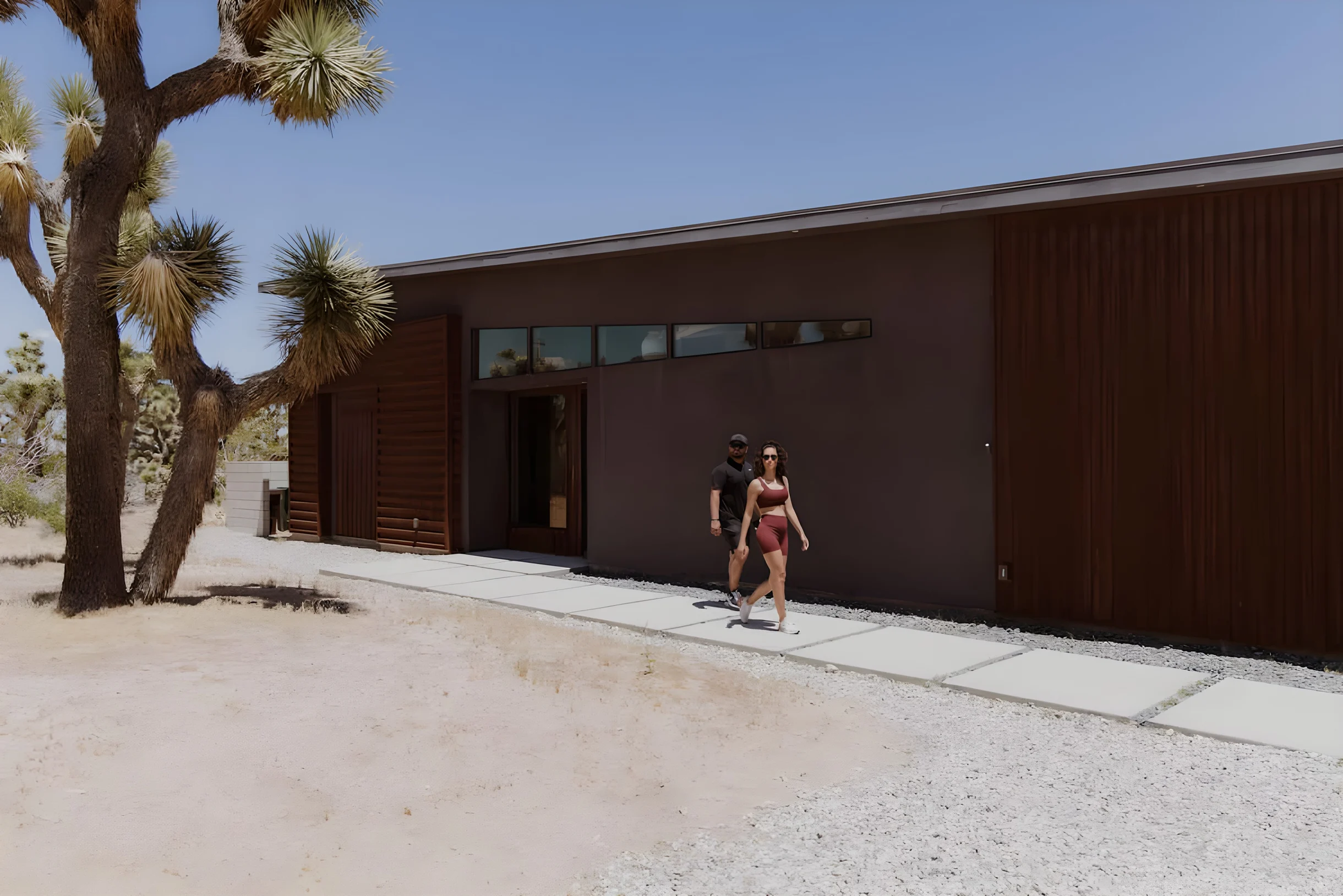 Wander Yucca Valley Sol #18