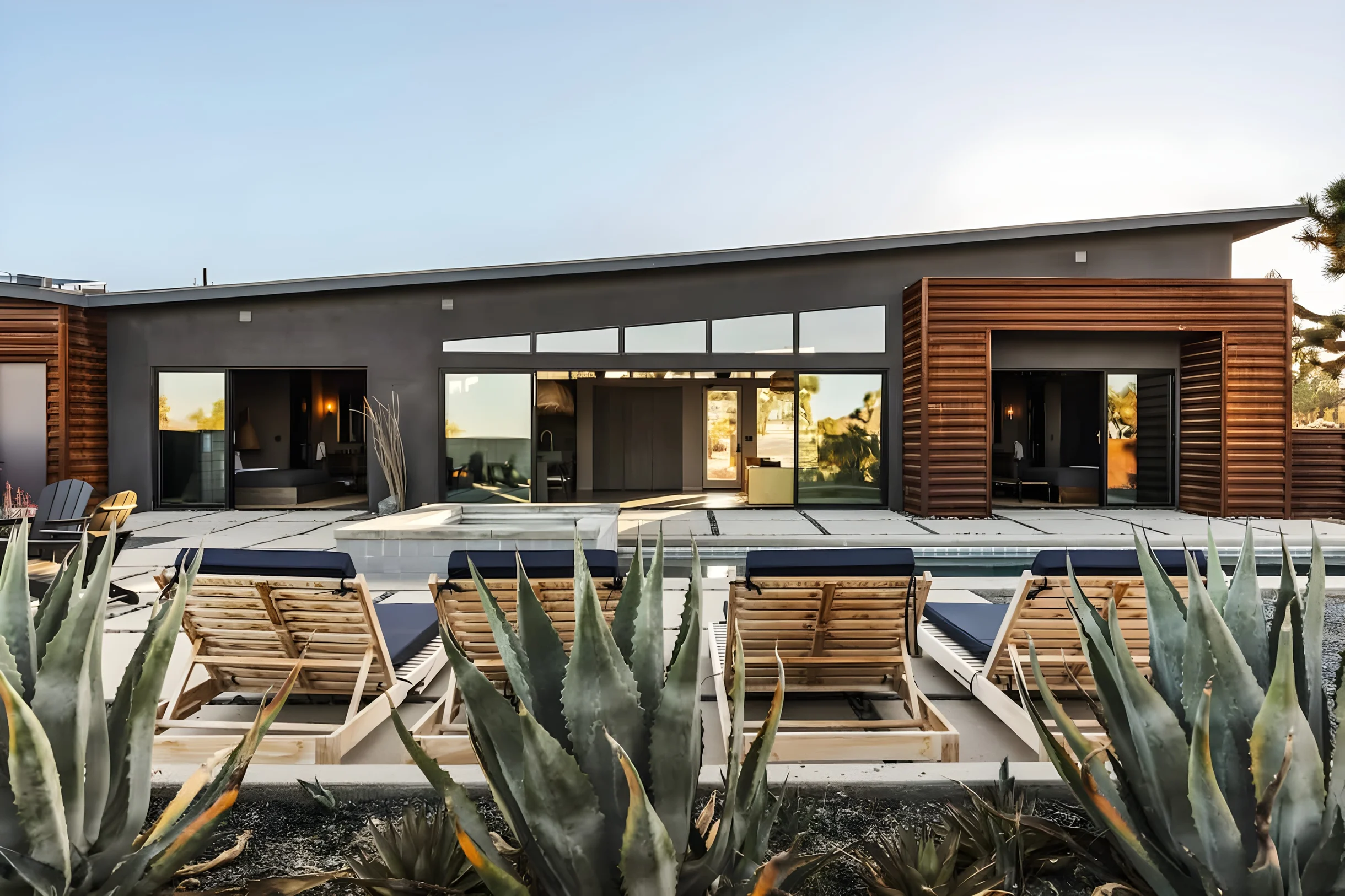 Wander Yucca Valley Sol #56