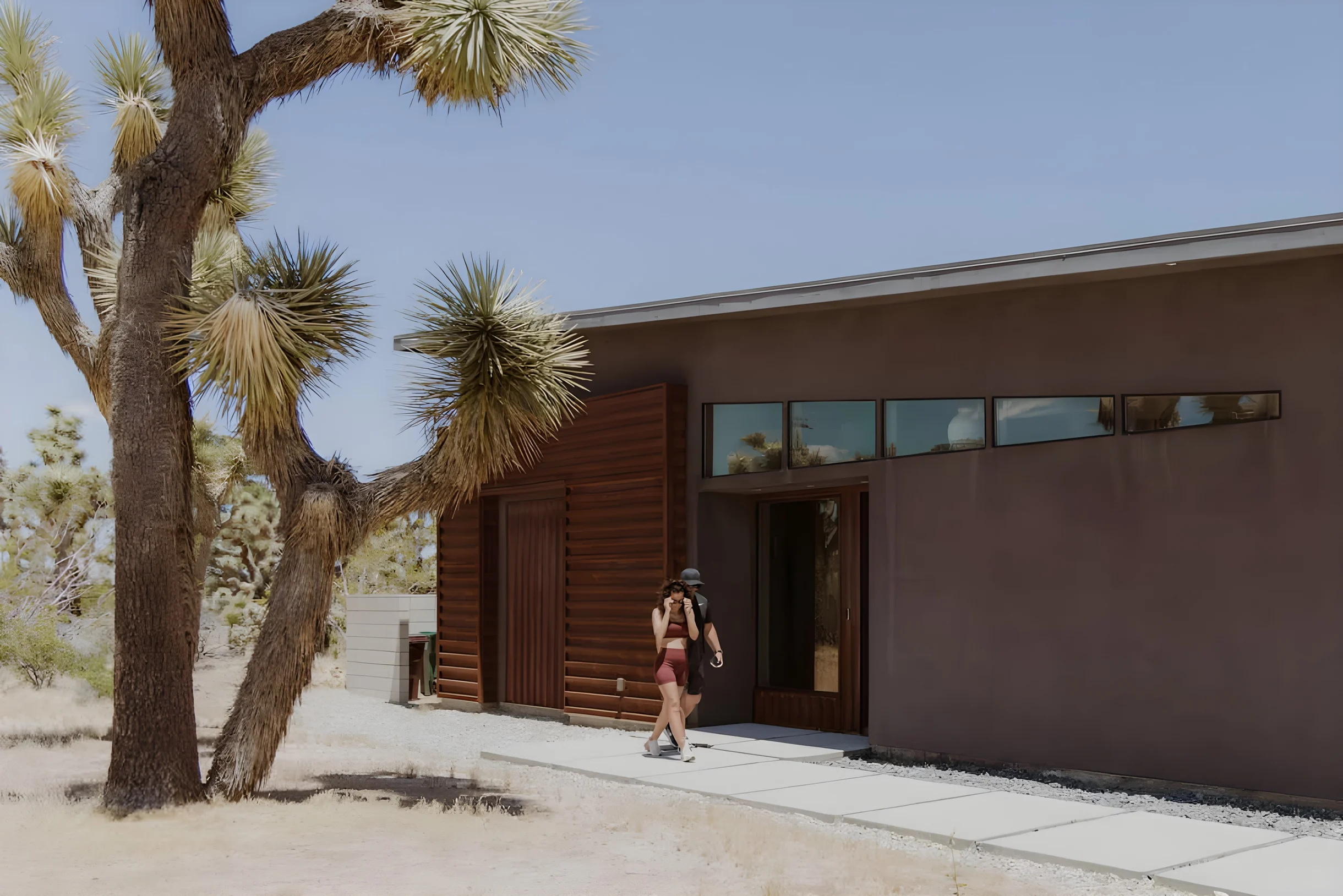 Wander Yucca Valley Sol #30