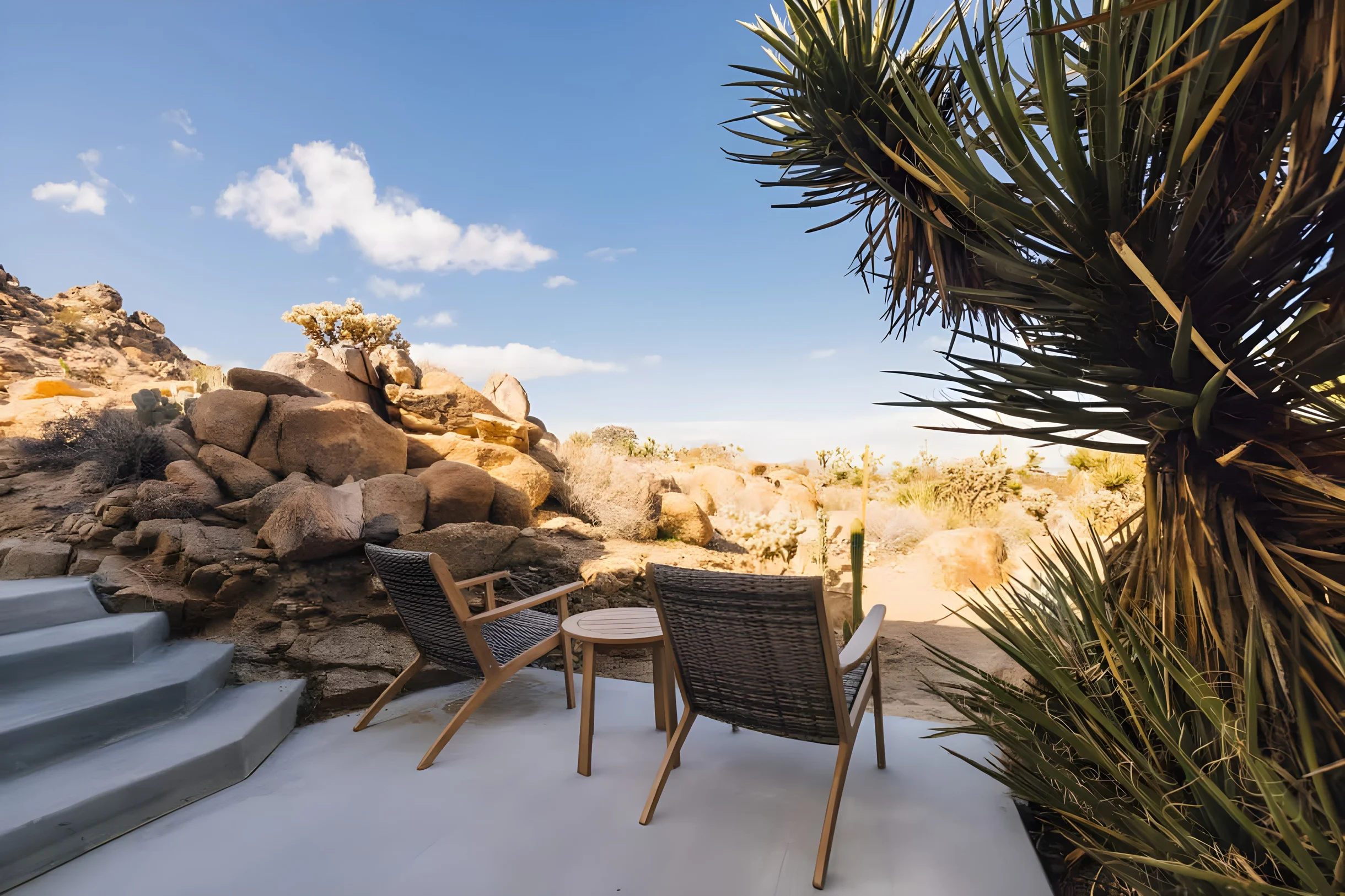 Wander Joshua Tree Stargaze #18