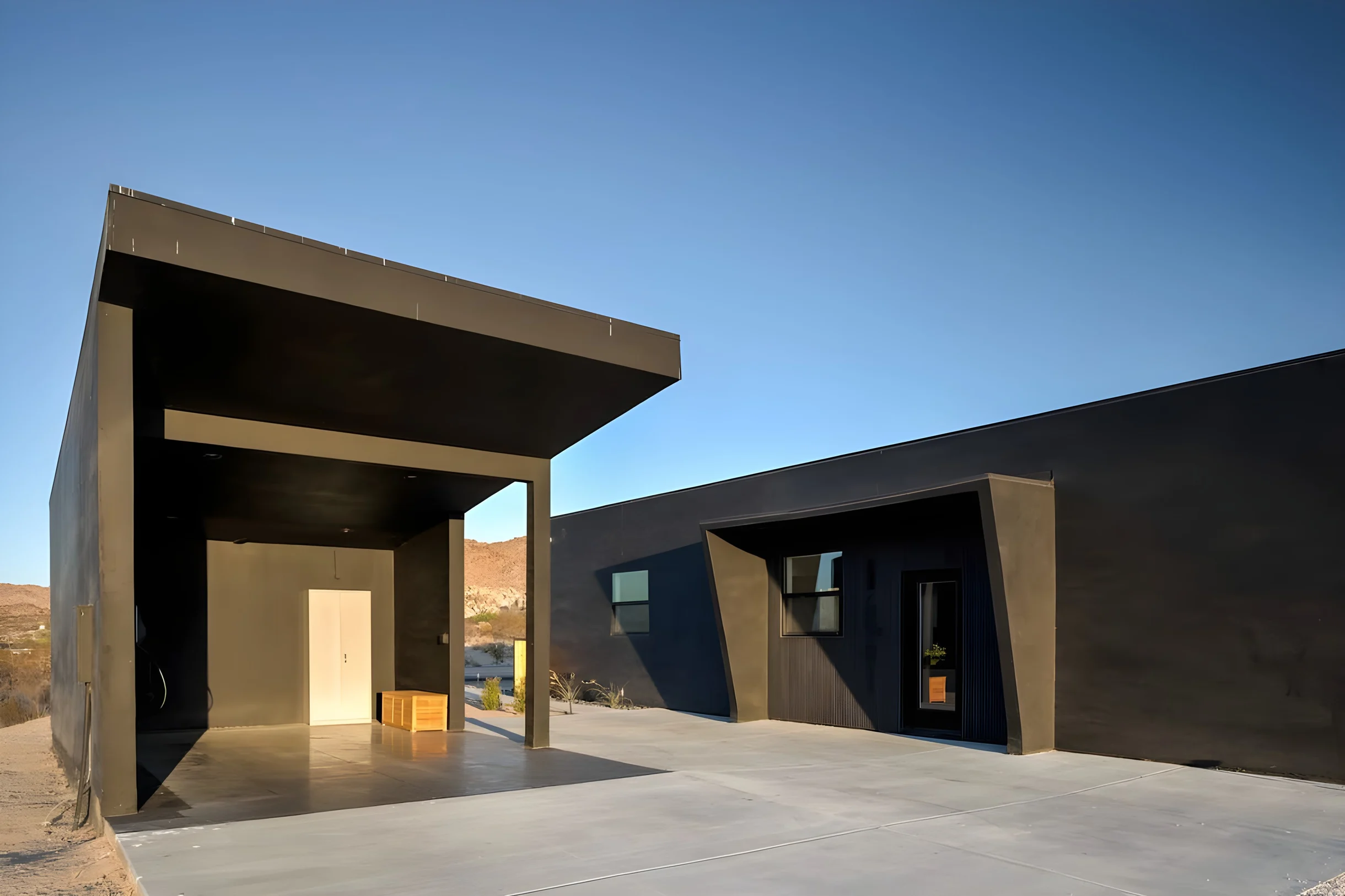 Wander Joshua Tree Starfield #55