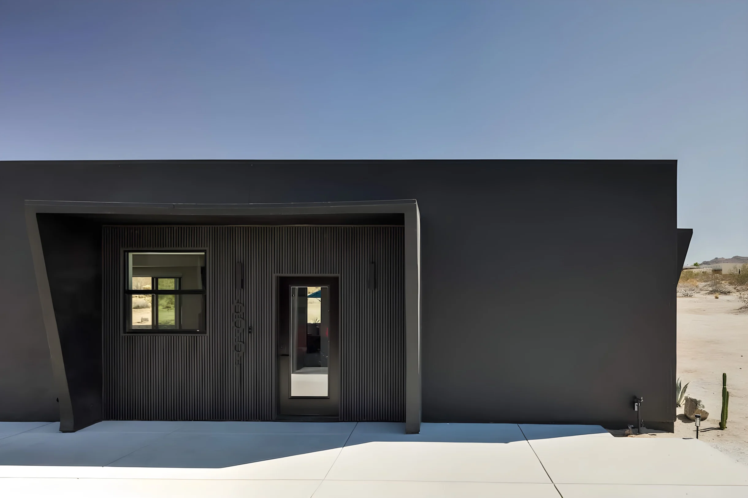 Wander Joshua Tree Starfield #59