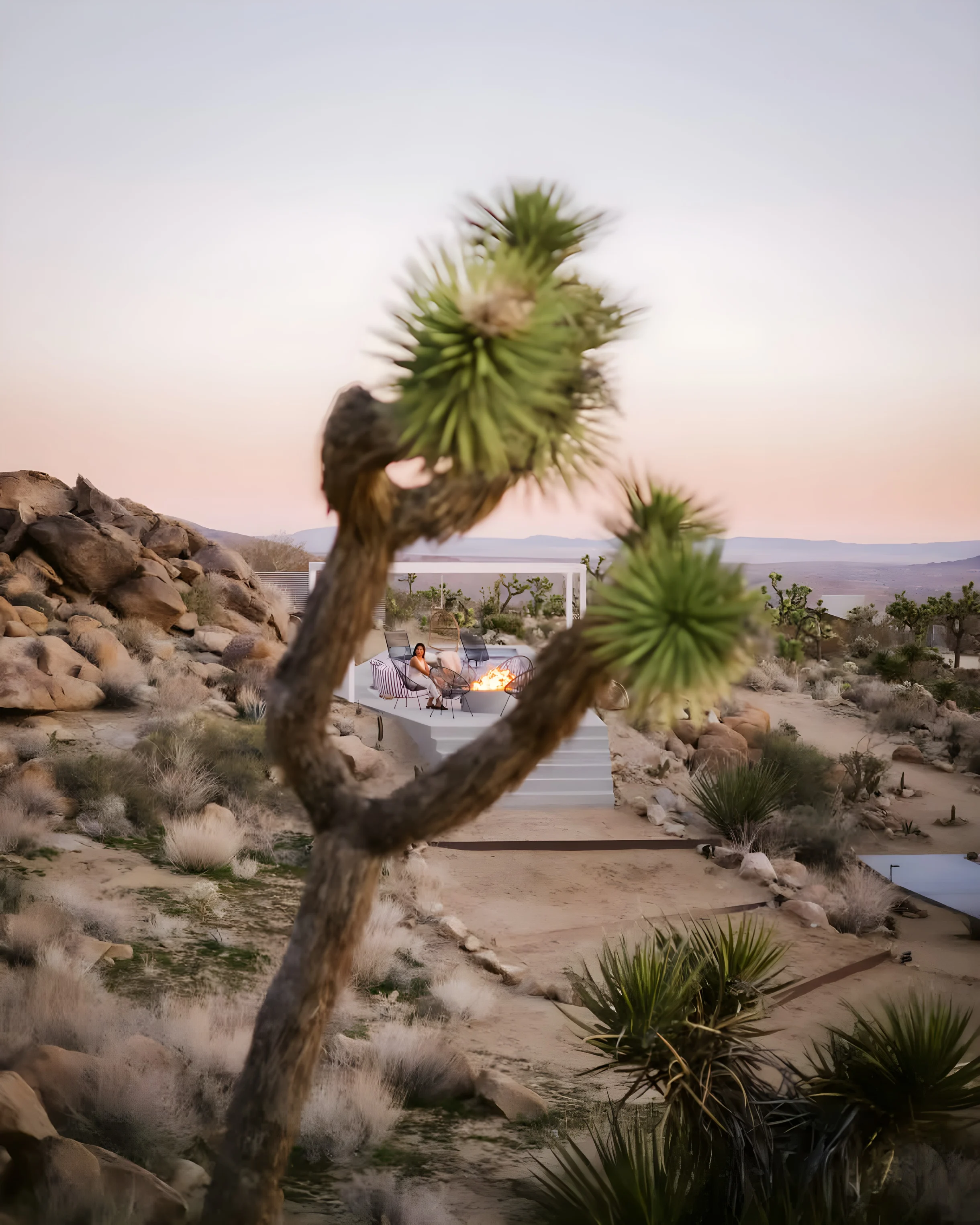 Wander Joshua Tree Stargaze #27