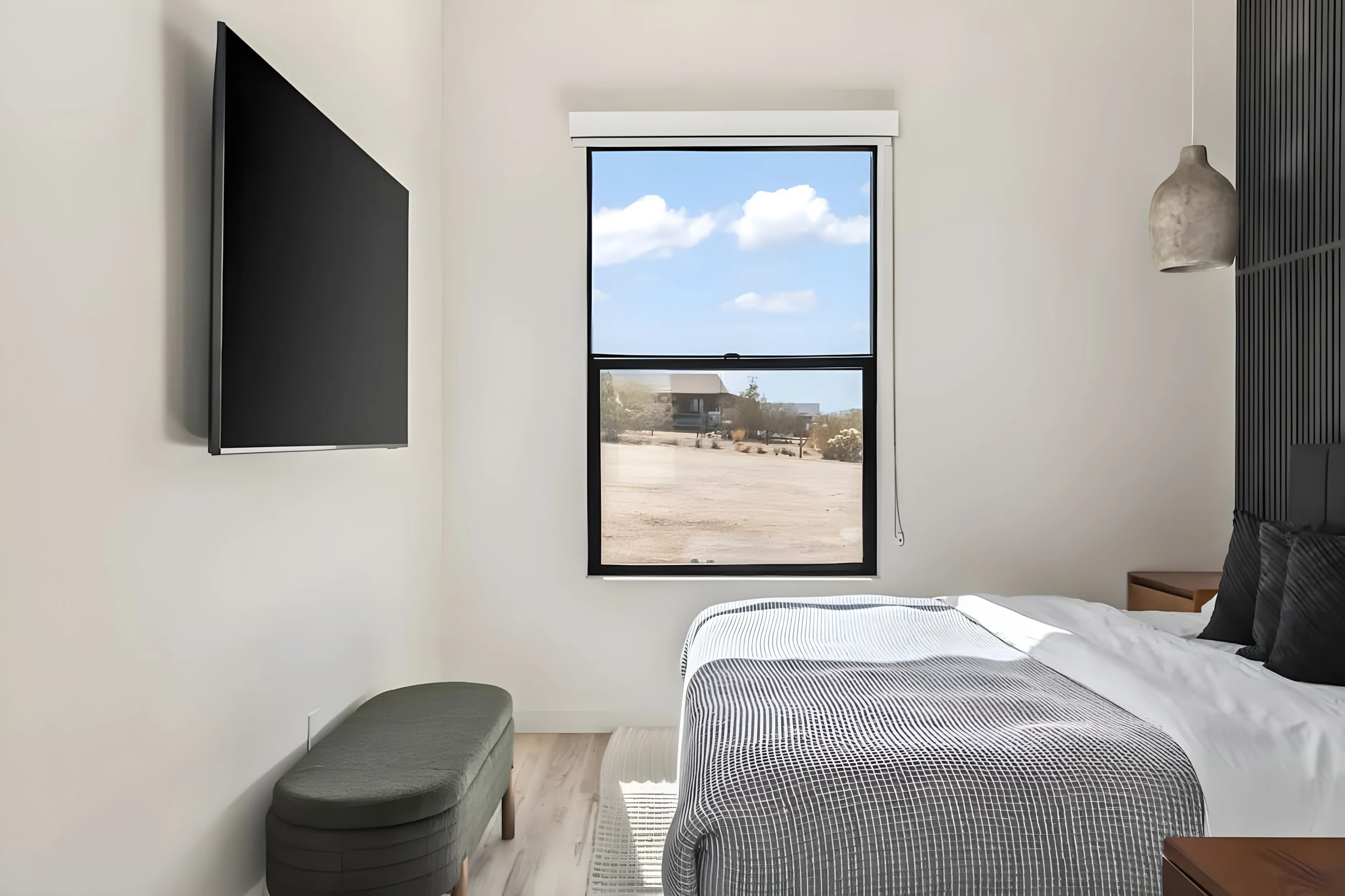 Wander Joshua Tree Starfield #35