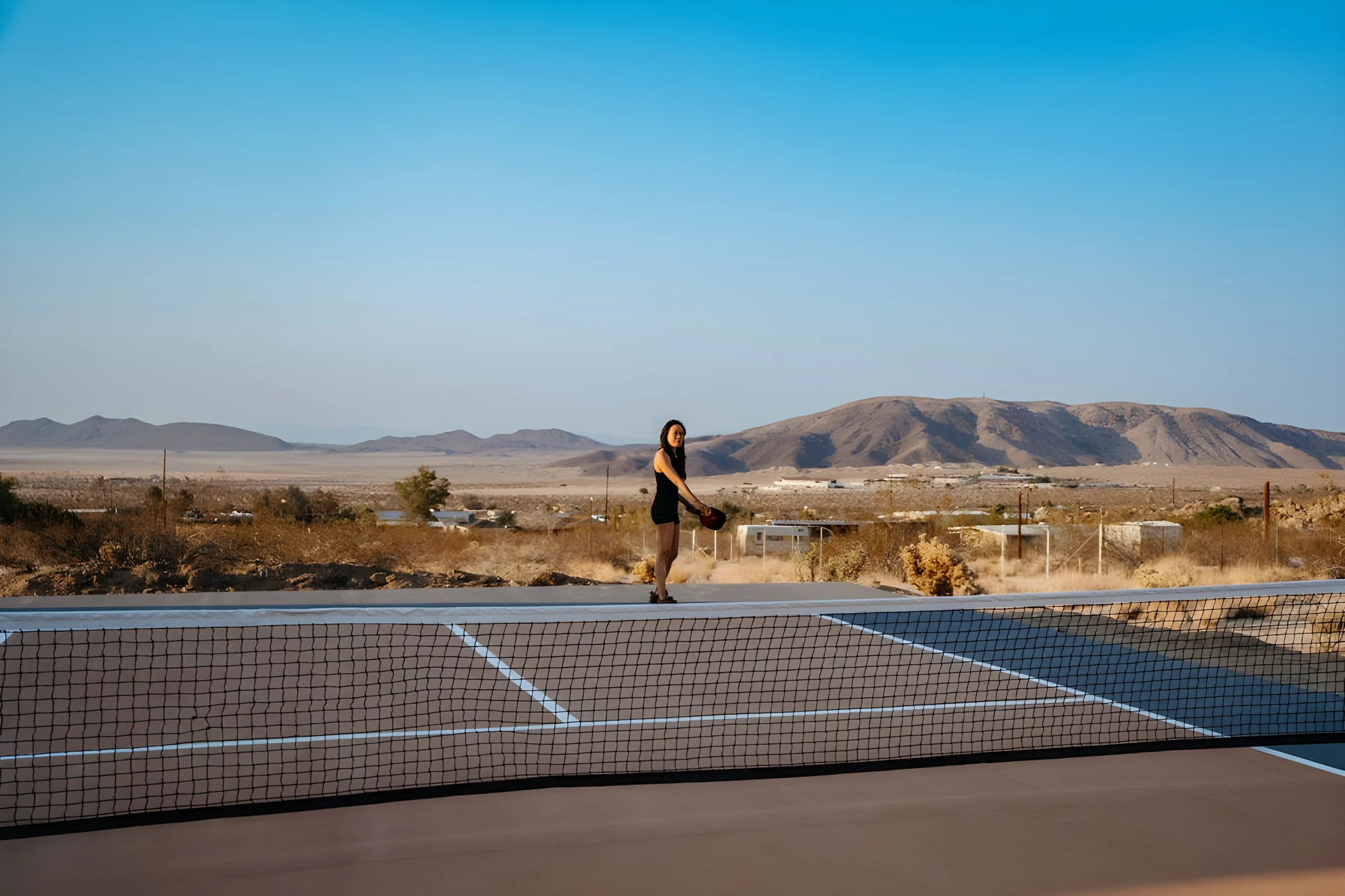 Wander Joshua Tree Starfield #44