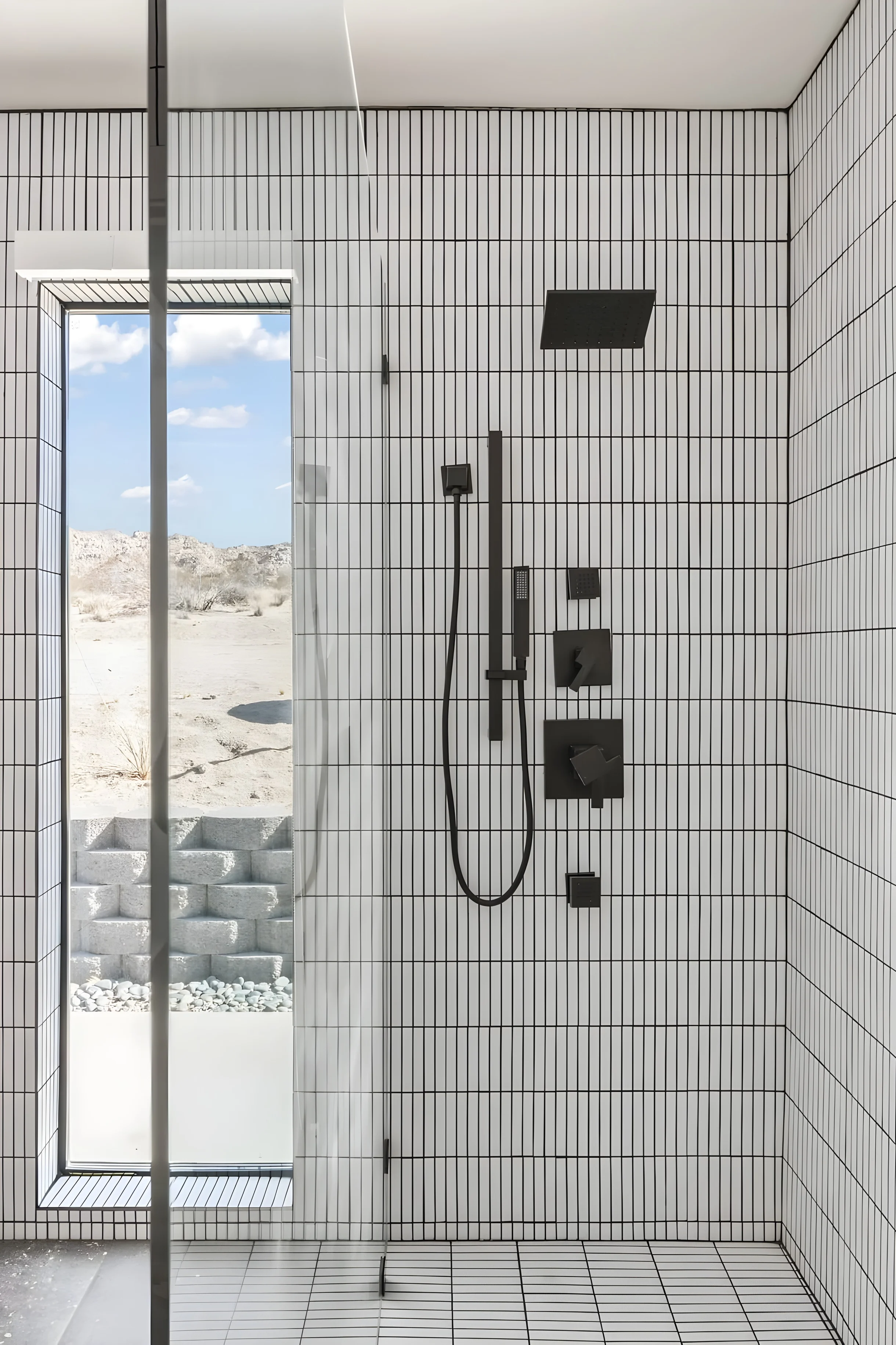 Wander Joshua Tree Starfield #28