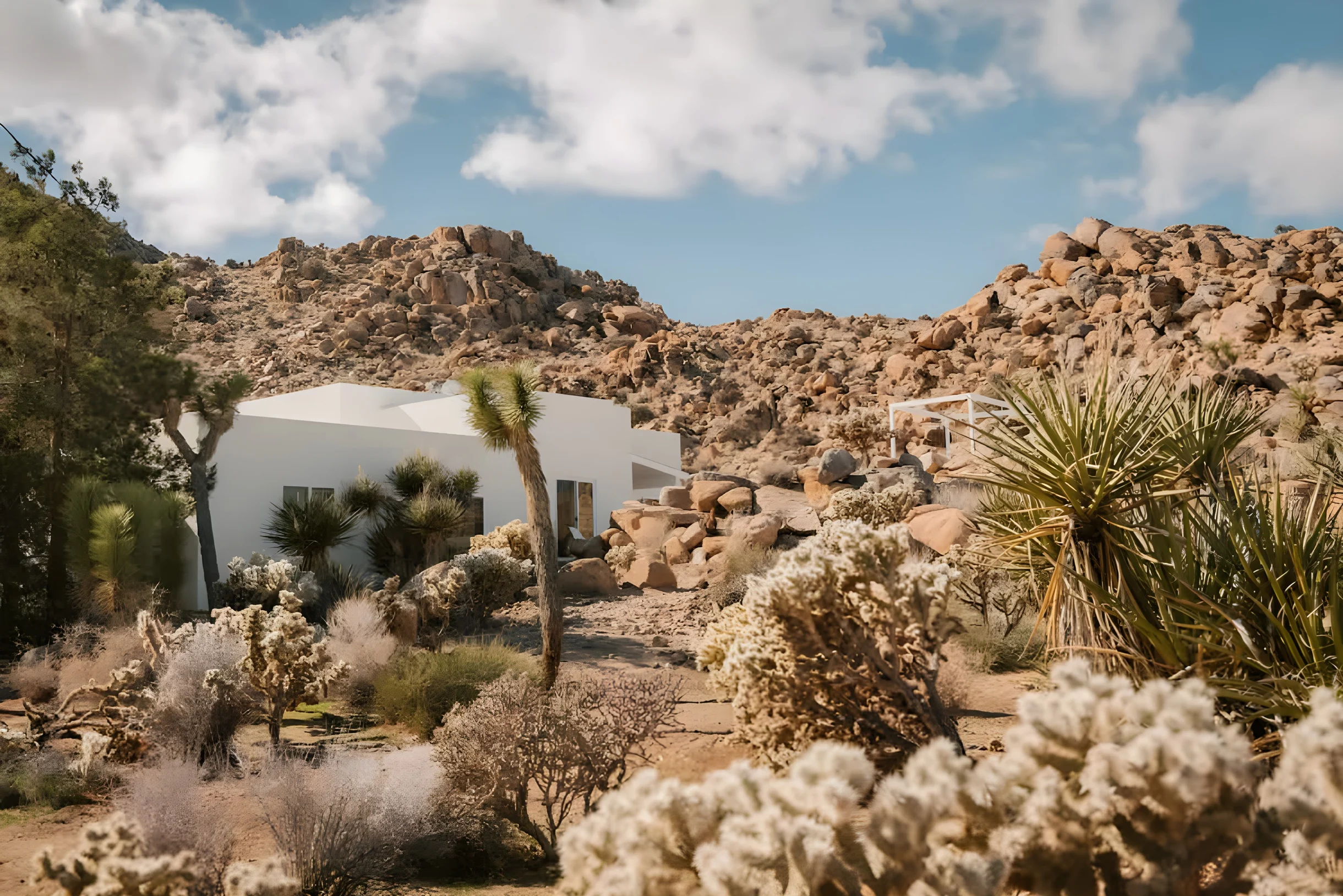 Wander Joshua Tree Stargaze #23