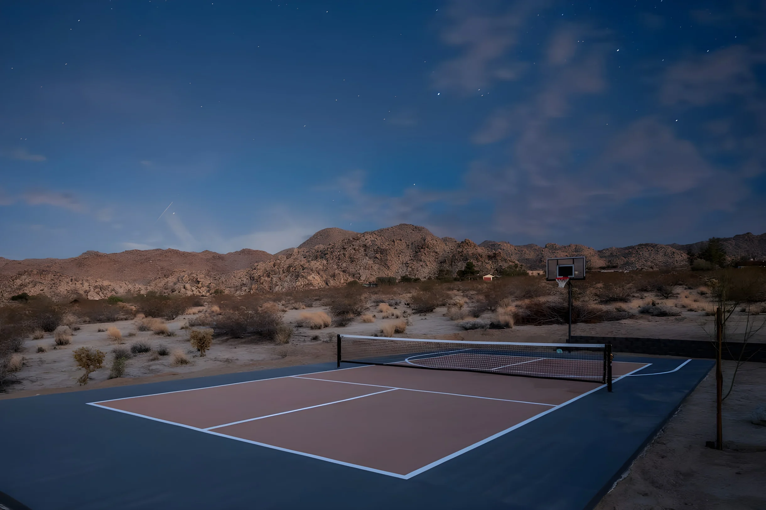 Wander Joshua Tree Starfield #23