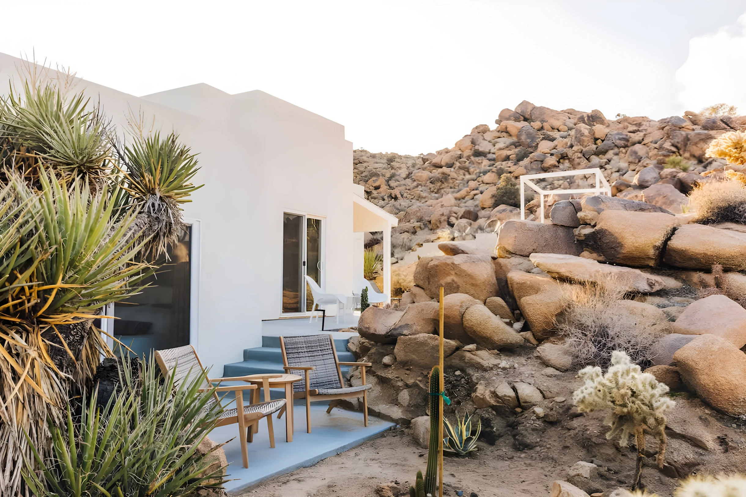 Wander Joshua Tree Stargaze #29