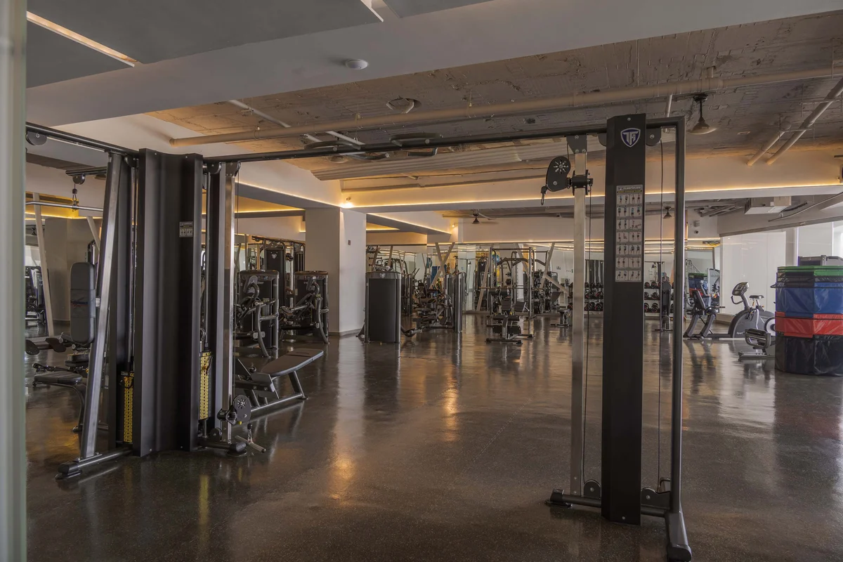 Wander Vallarta Bahia