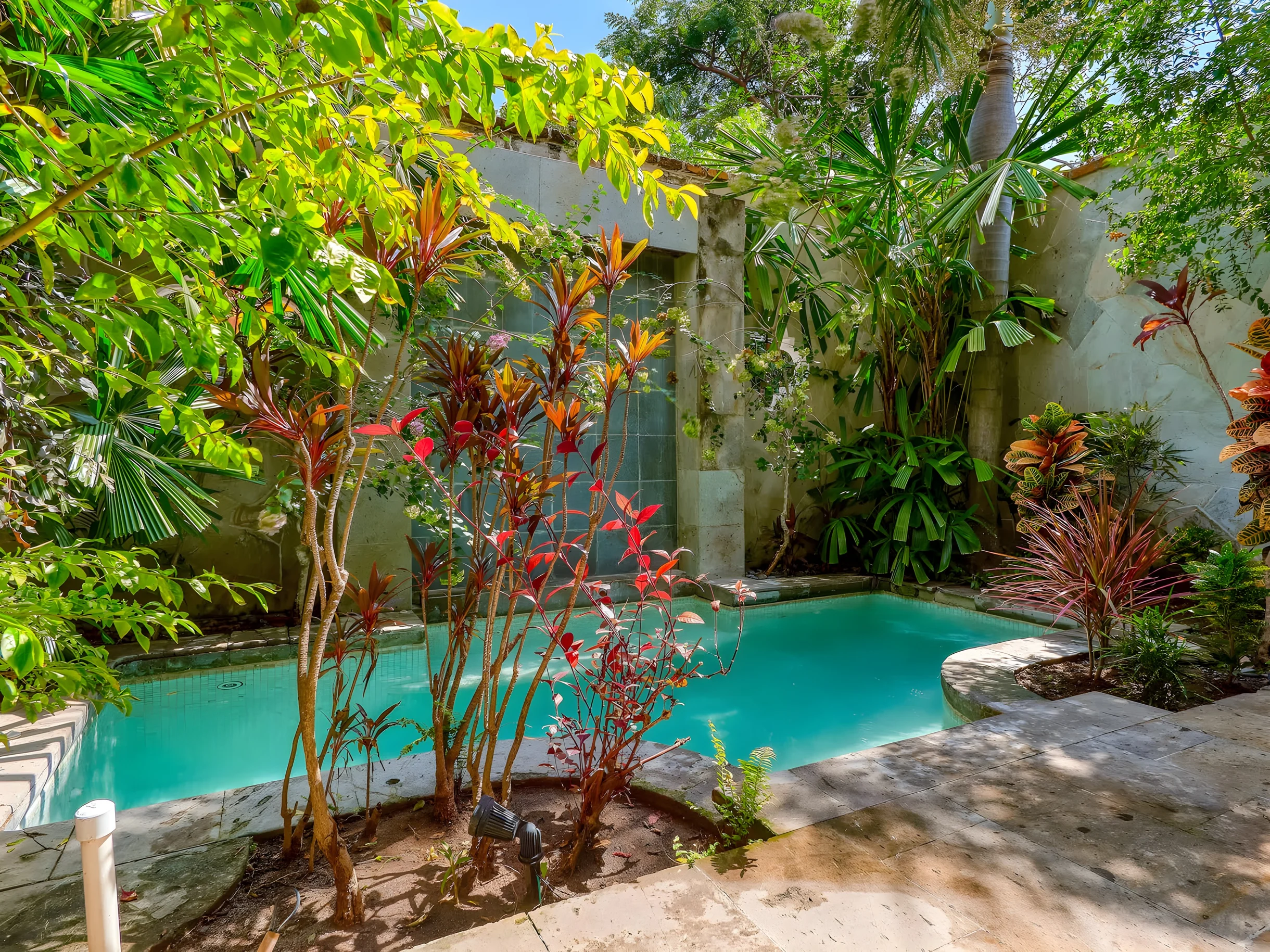 Wander Puerto Vallarta Palms #24