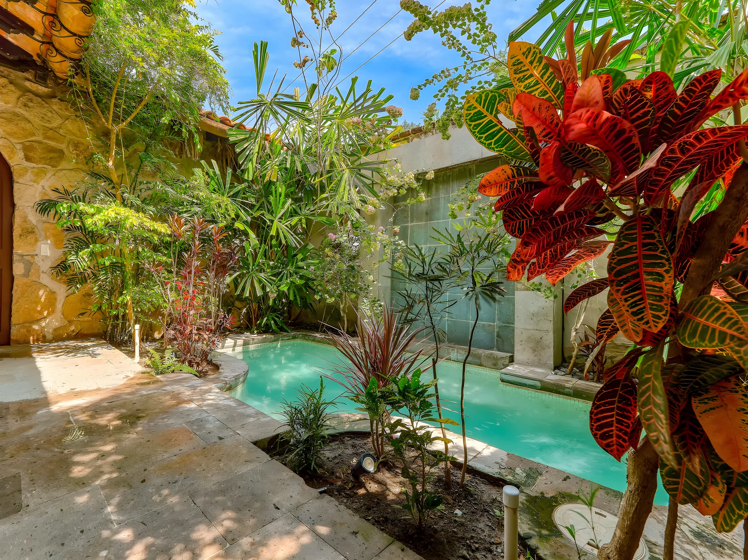 Wander Puerto Vallarta Palms #18