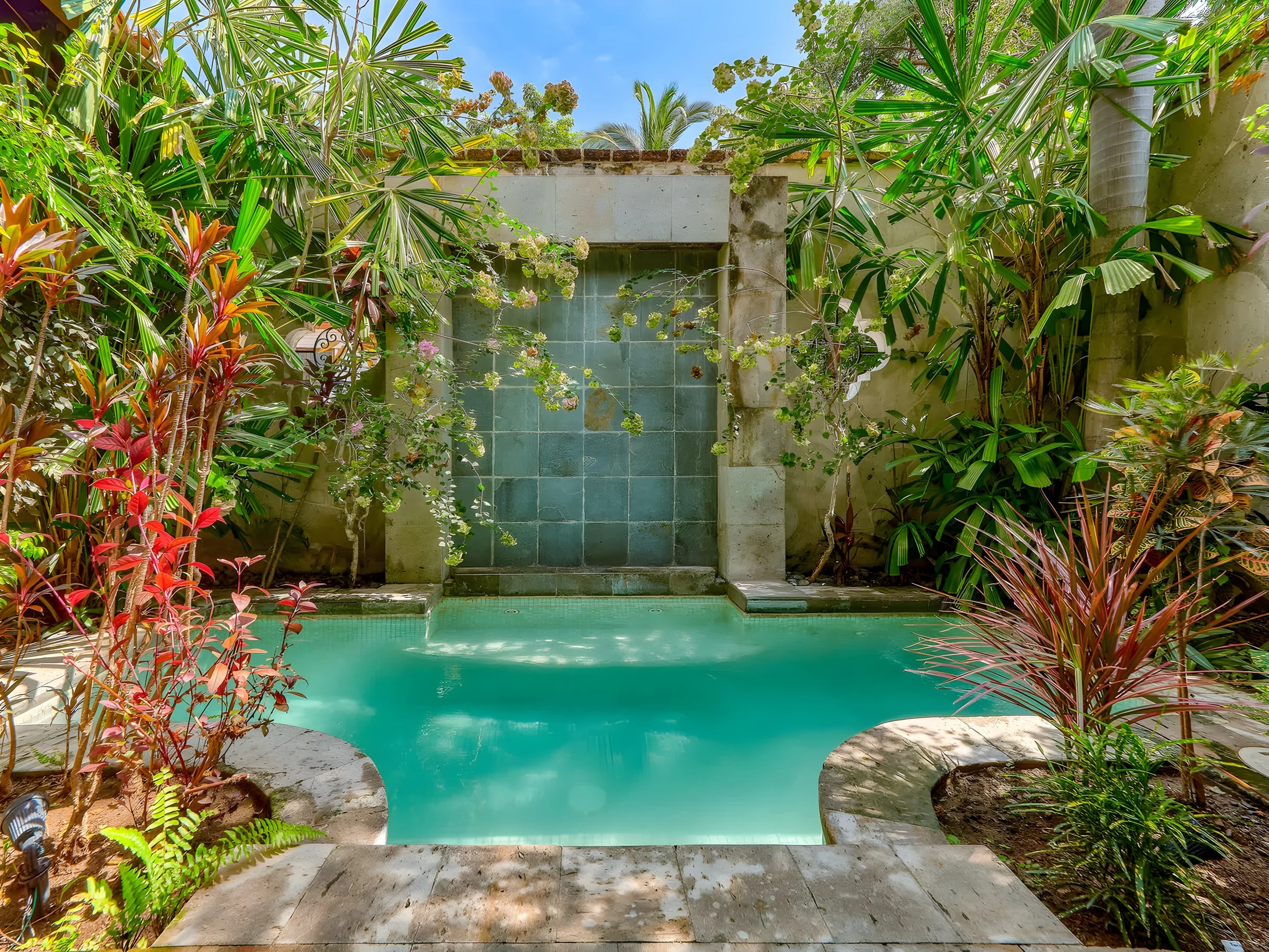 Wander Puerto Vallarta Palms #5