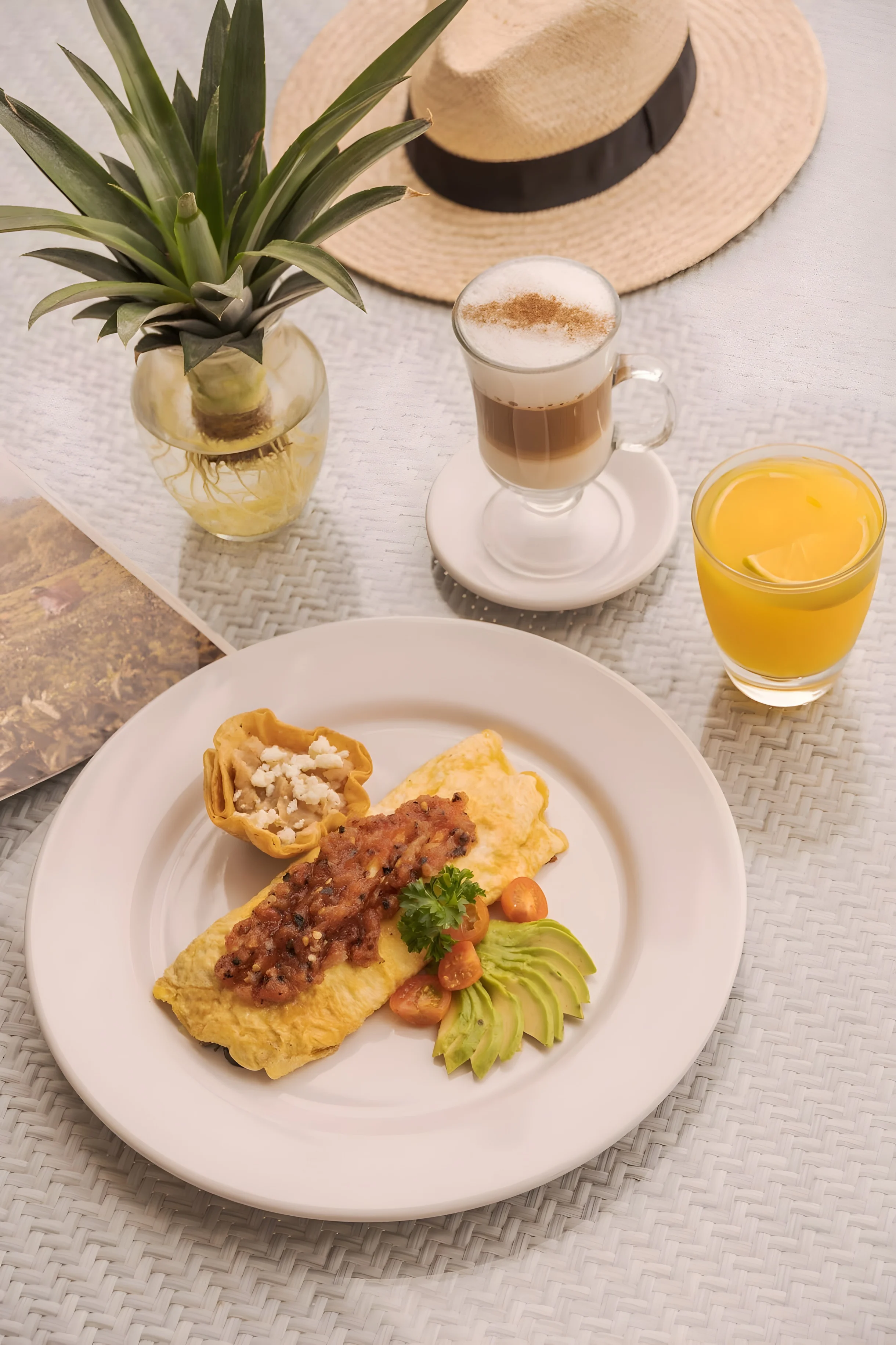 Wander Vallarta Cliffs #50