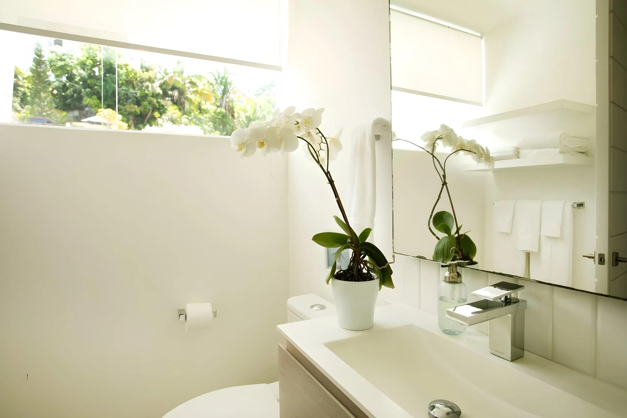 Wander Puerto Vallarta Crest #12