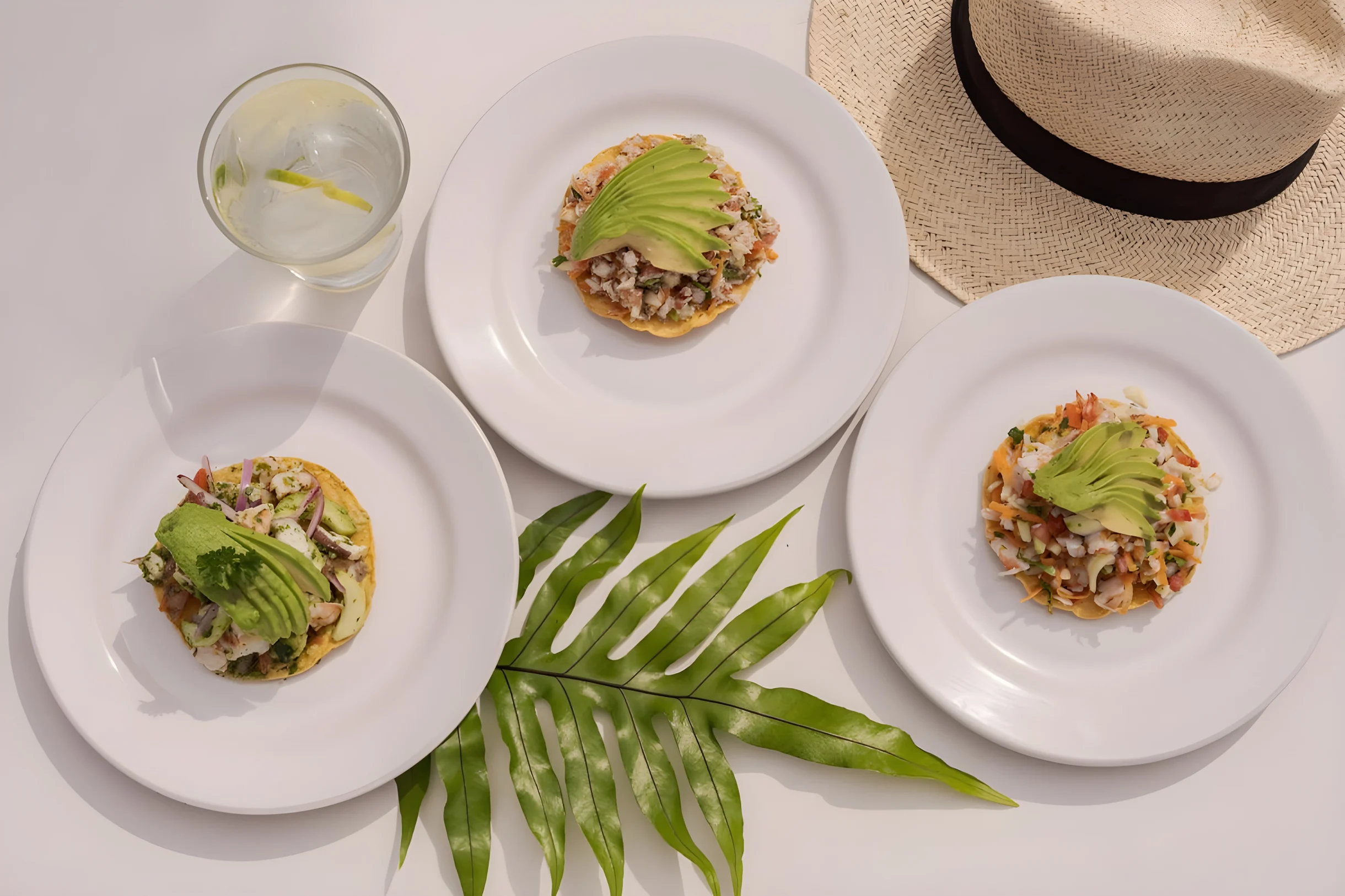 Wander Vallarta Bahia #37