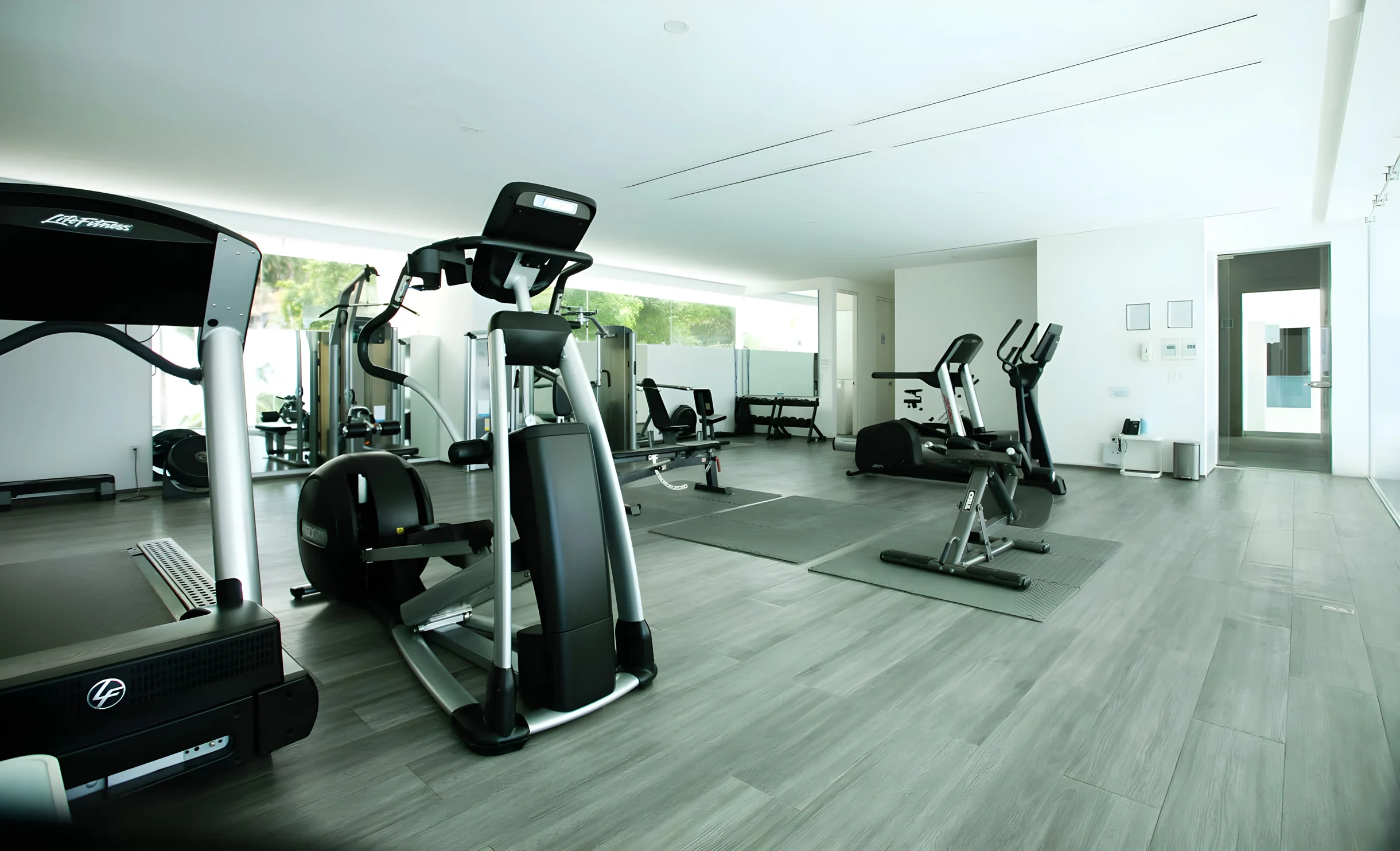 Wander Puerto Vallarta Crest #9