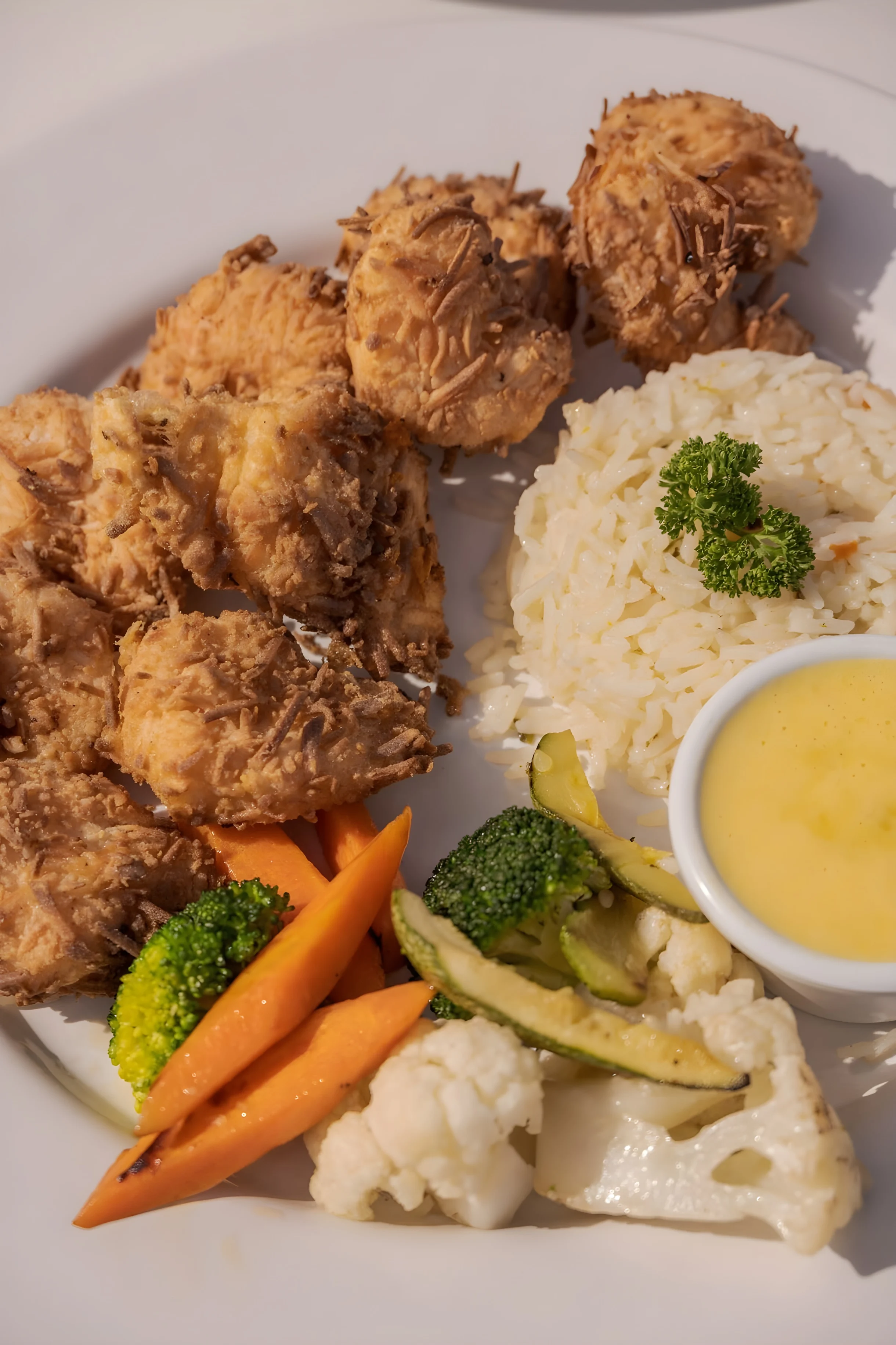 Wander Vallarta Cliffs #44